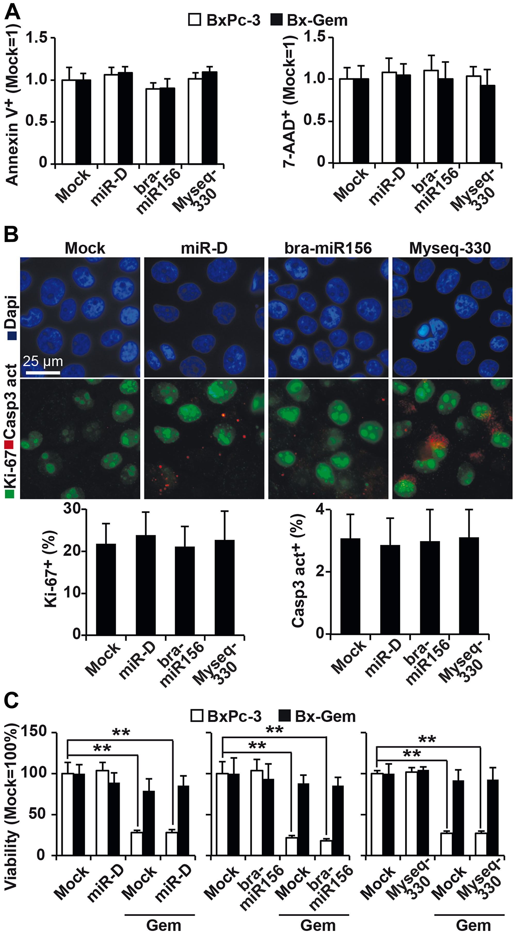 Lipofection of top broccoletti-miR candidates does not influence basal and induced apoptosis