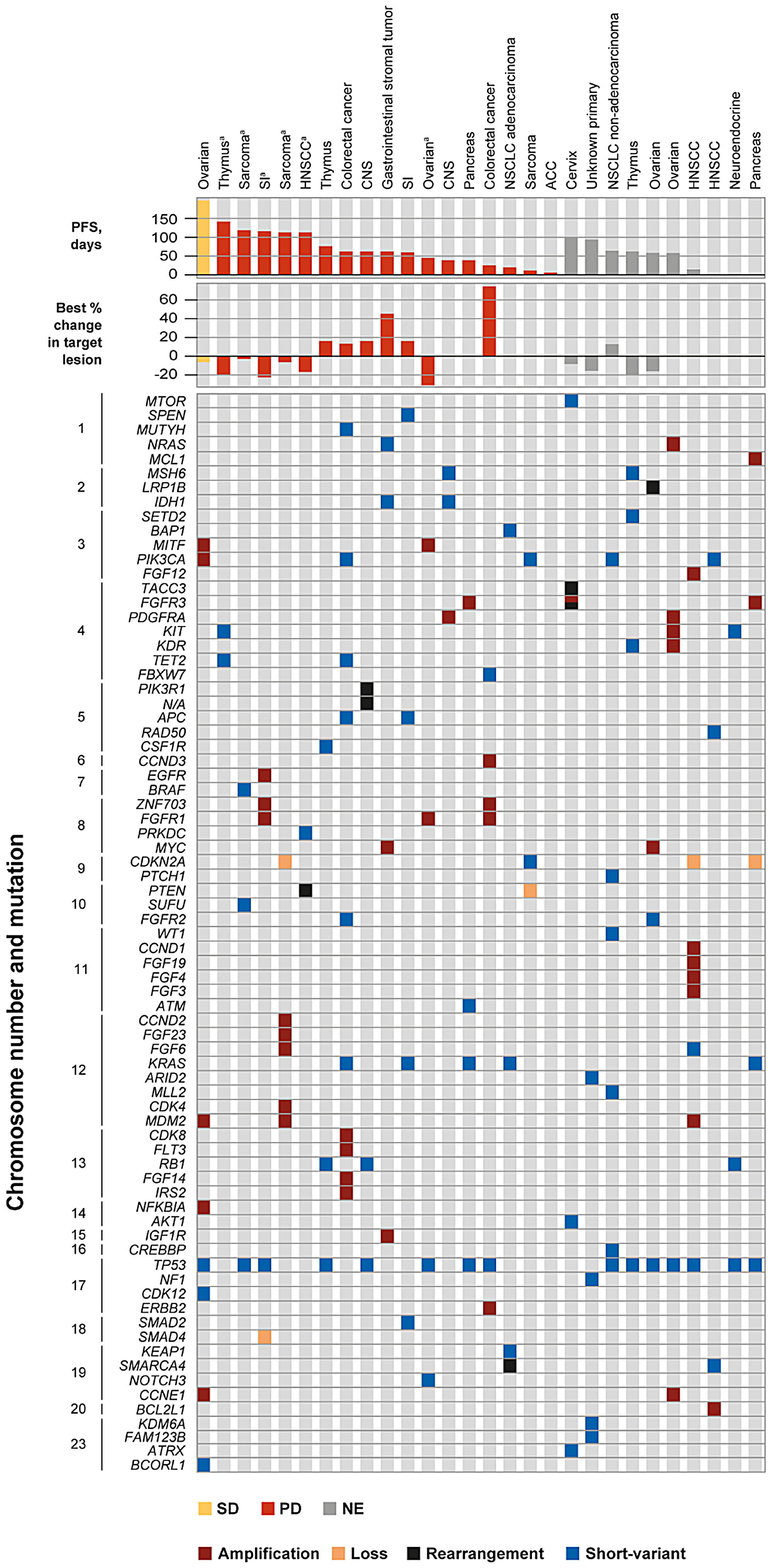 Genomic profile and tumor response in patients with biopsy taken within 12 months of study start