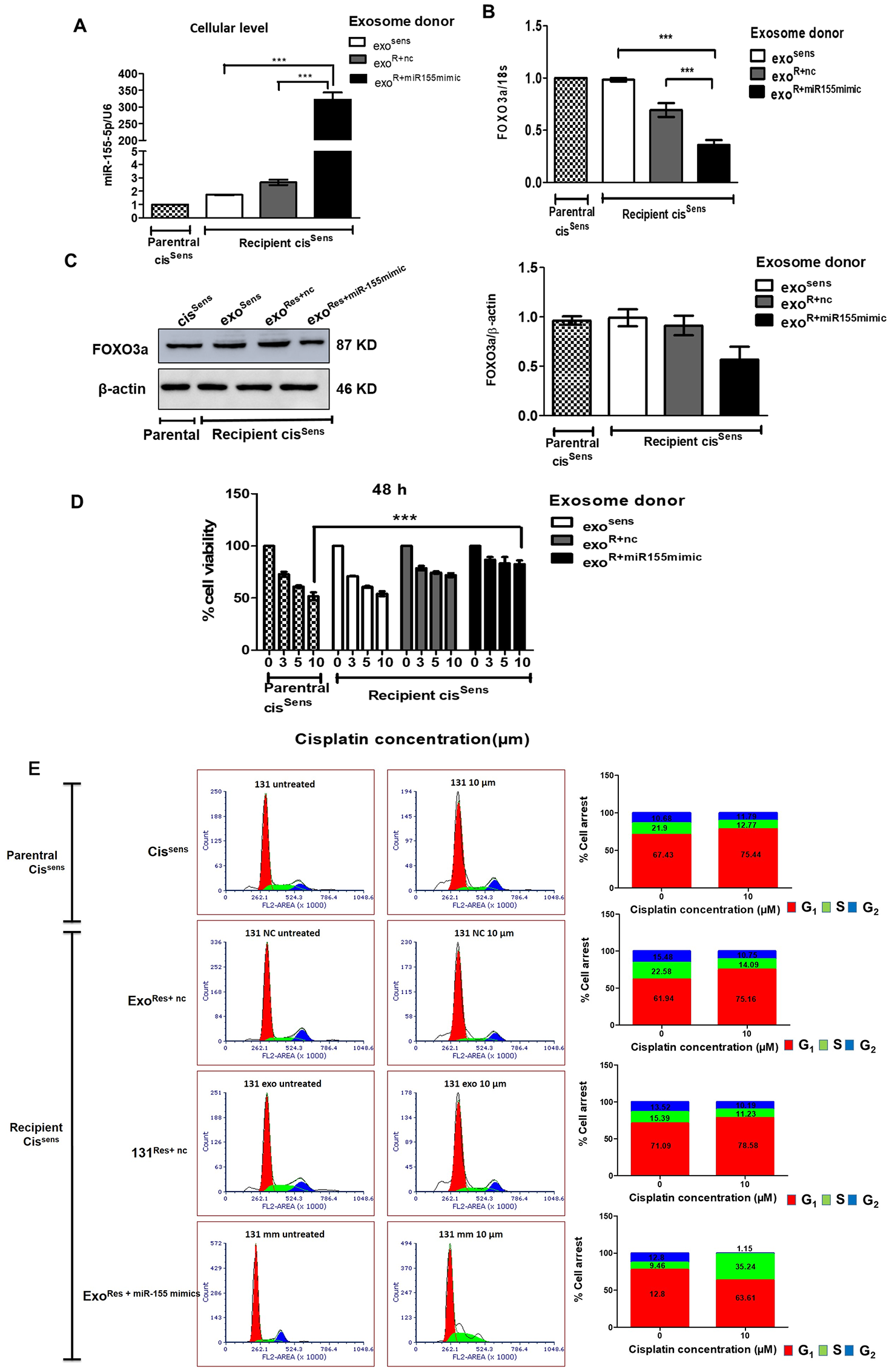 Exosomes were isolated from cisSens and cisRes cells transfected with either NTC or miR-155 mimics, and were used to treat naïve cisSens cells