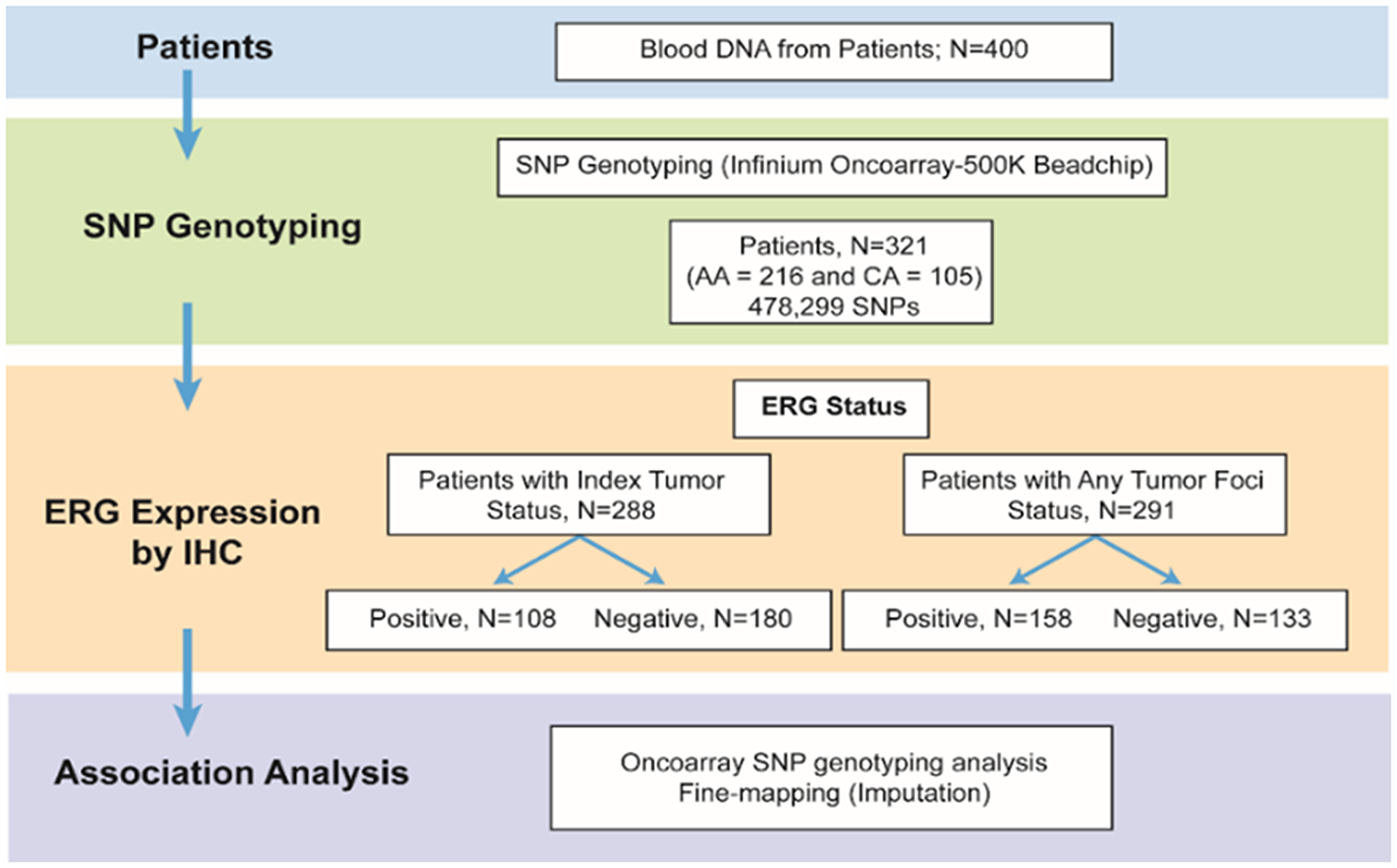 Schematic representation of the study