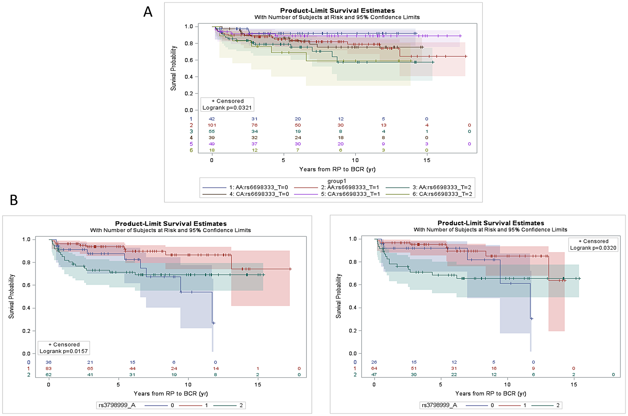 Kaplan-Meier estimation curve of time to BCR as a function of SNPs
