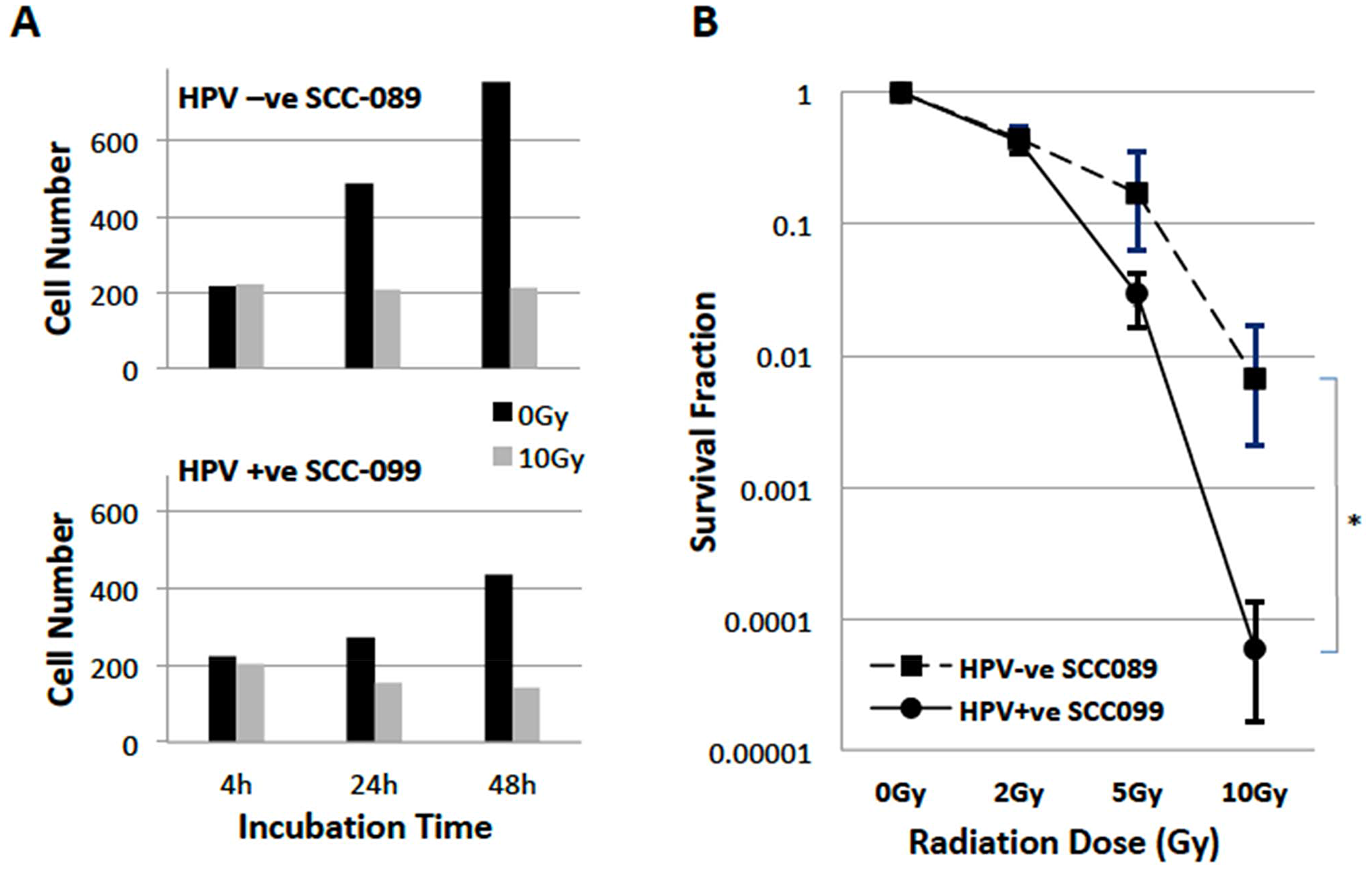 Radiosensitivity of HPV-SCC-089 and HPV+SCC-099 cells
