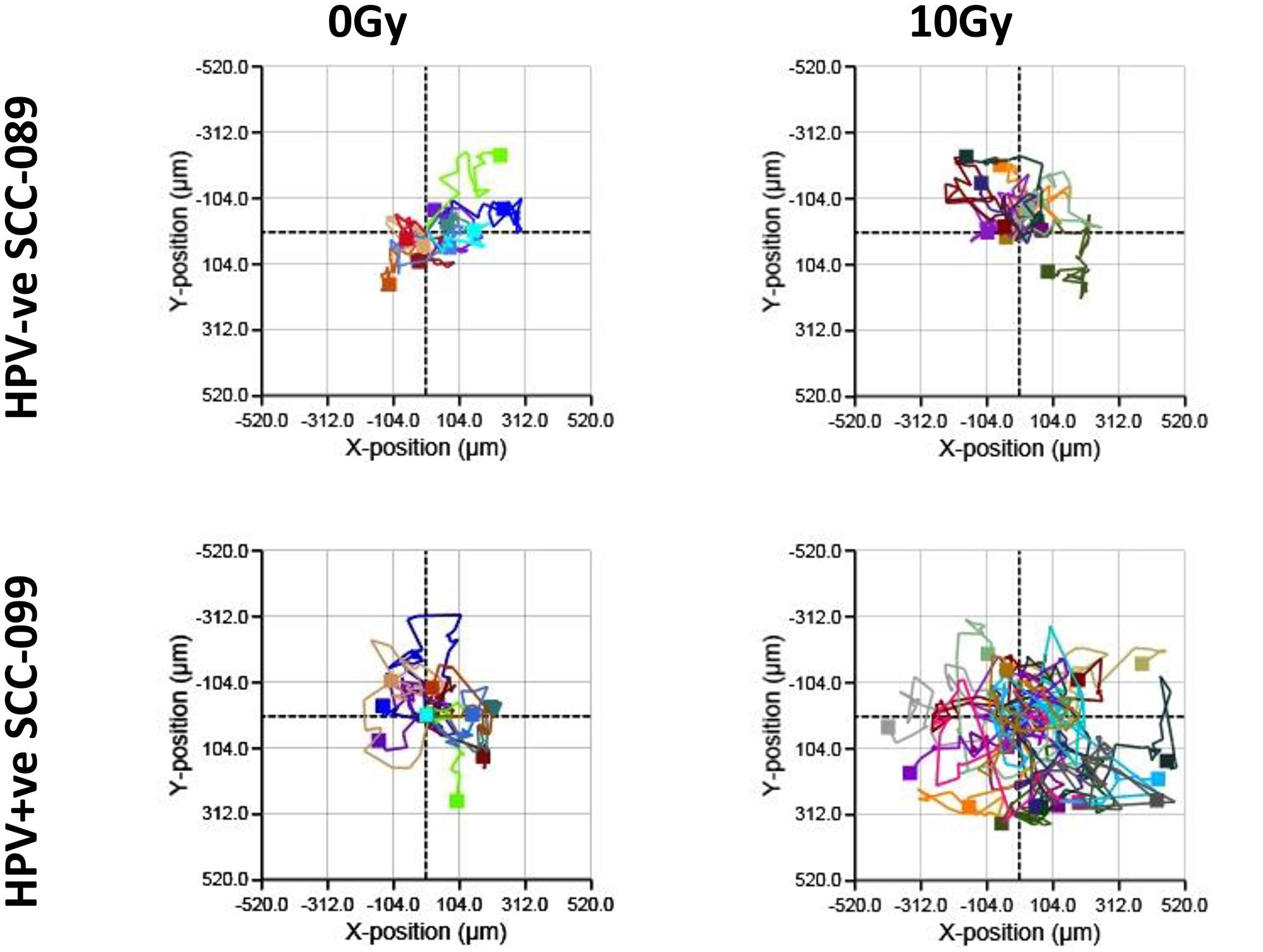 Cell movement in HPV-SCC-089 and HPV+SCC-099 by Holographic microscopy