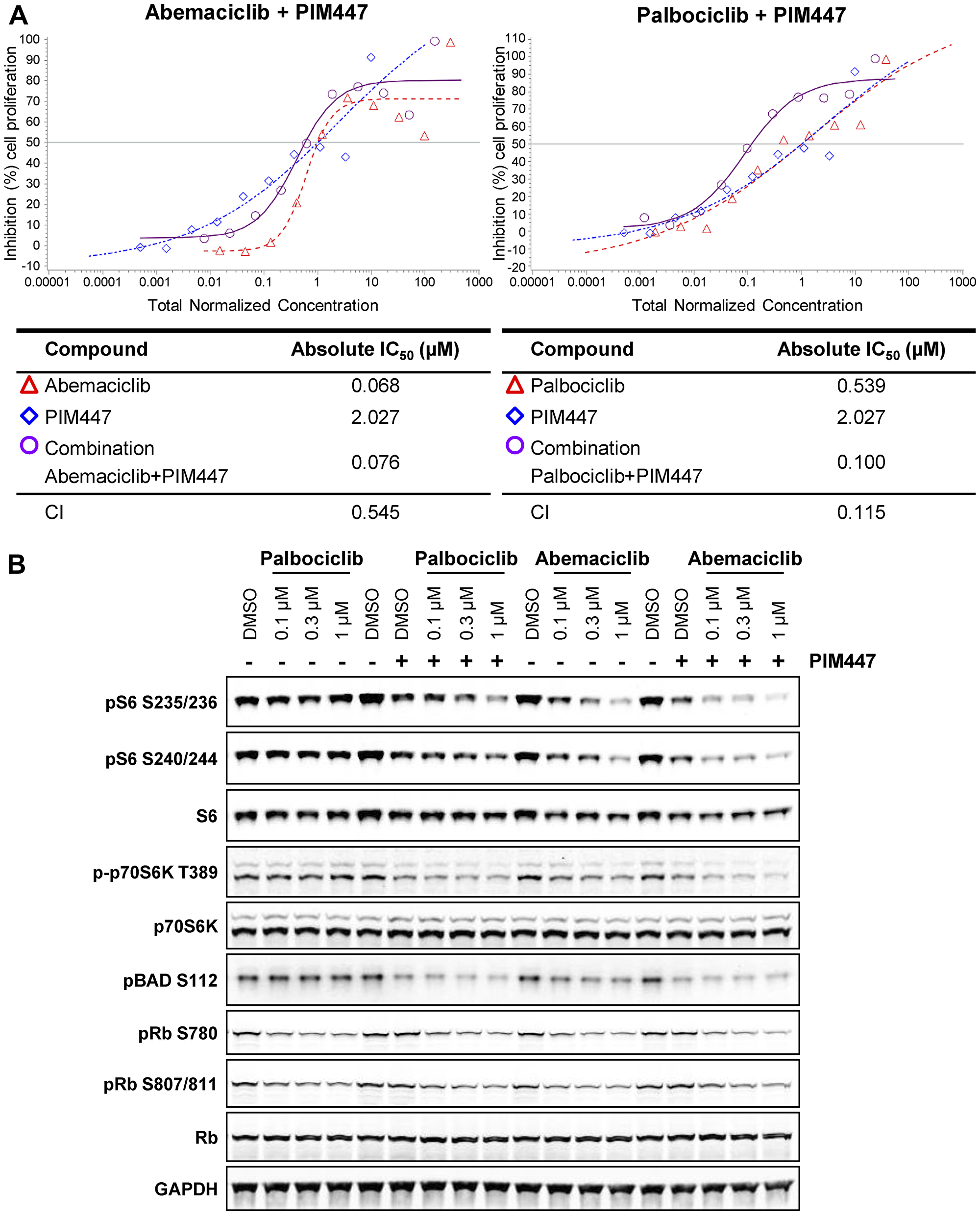 Combination CDK4/6 and PIM kinase inhibition suppresses mTOR signaling and cell growth