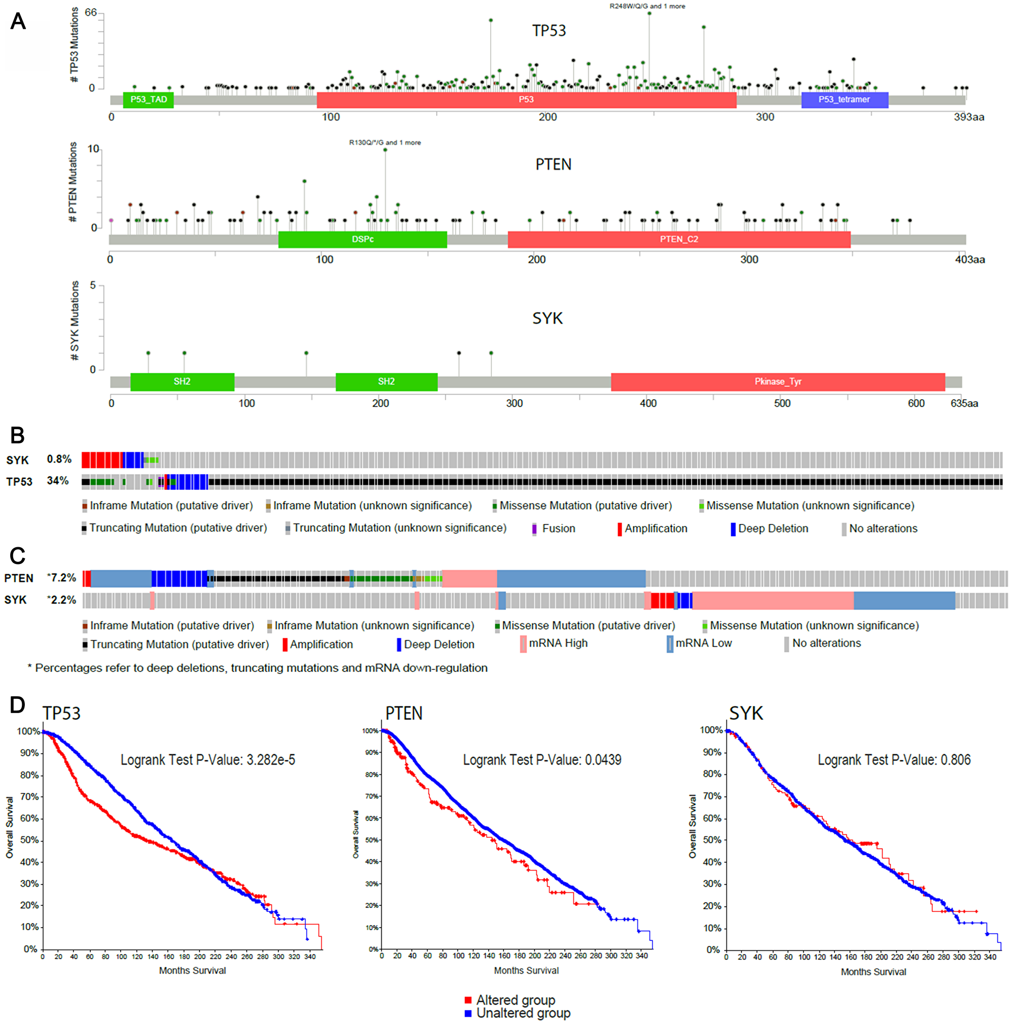 In silico analysis of SYK gene characteristics compared with the well-known tumour suppressors TP53 and PTEN in the Metabric and TCGA invasive breast cancer studies
