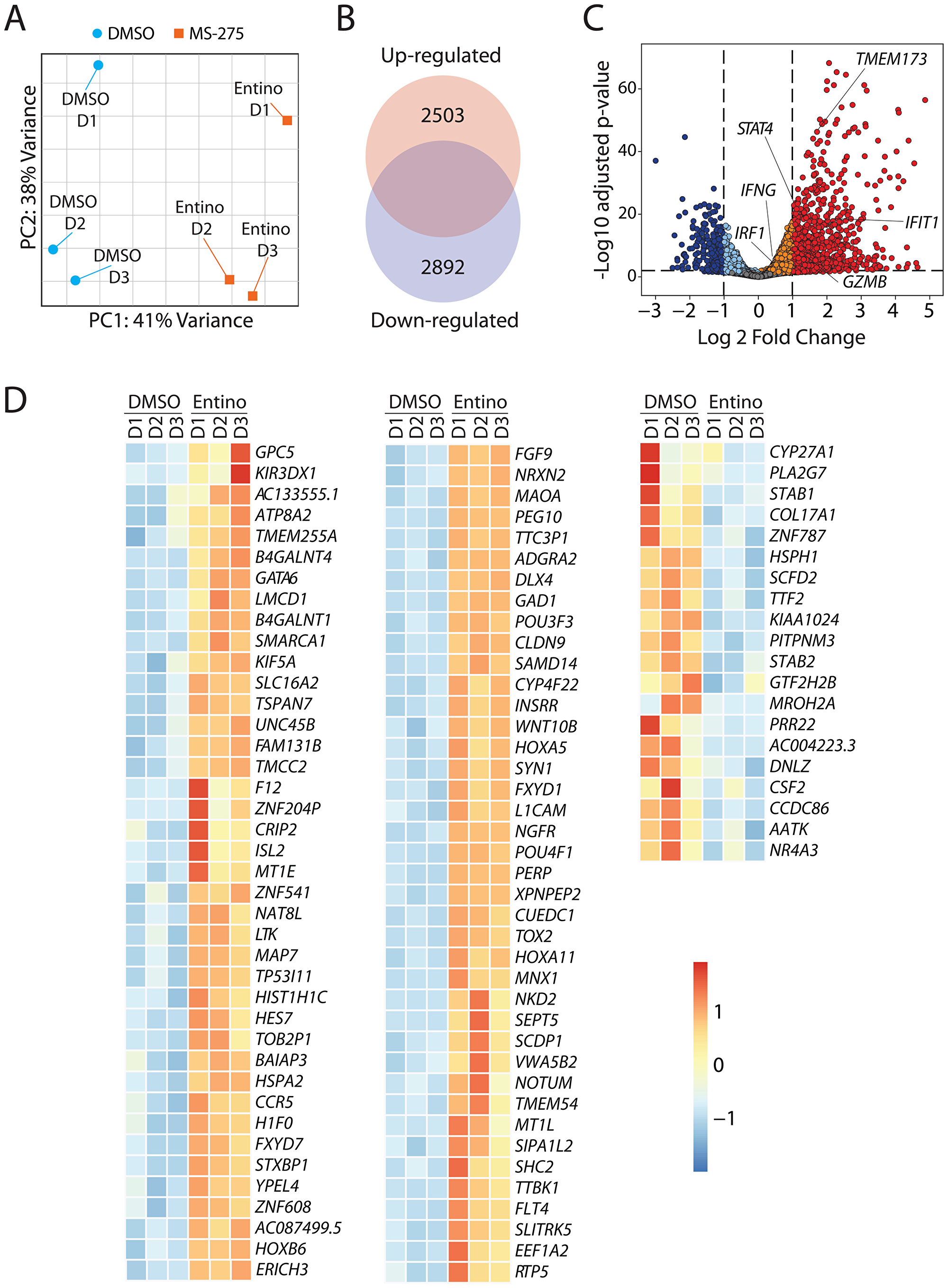 Entinostat alters the transcriptome of NK cells to augment their effector functions