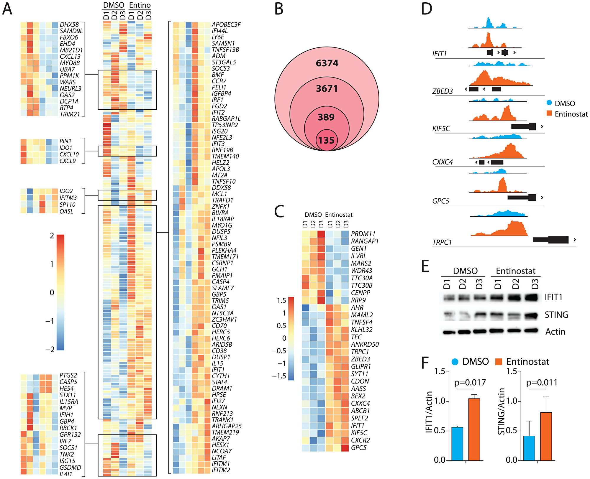 Transcriptomic alterations of IFIT1-associated genes and epigenetic upregulation of IFIT1 by entinostat