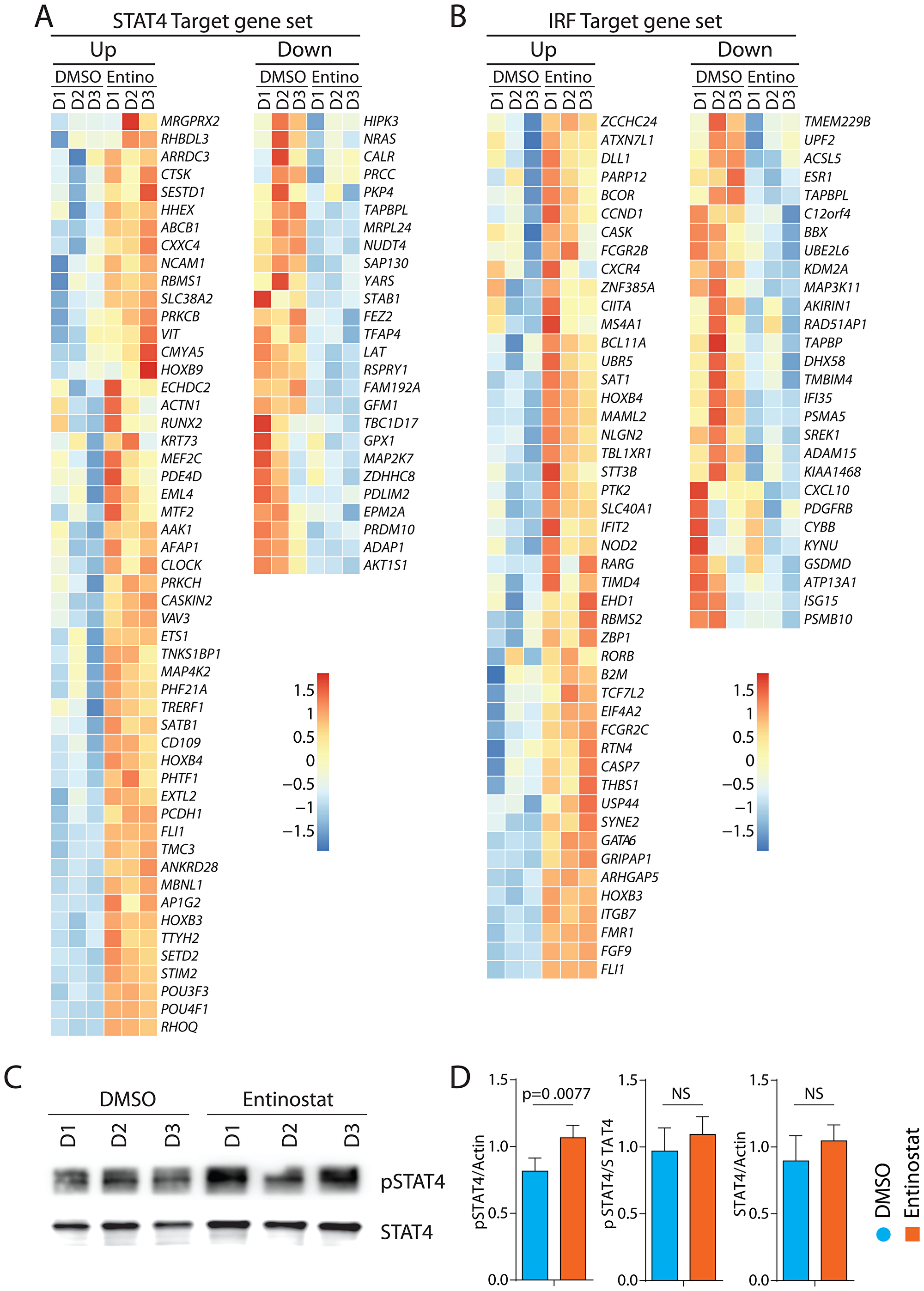 Transcriptomic alterations of target genes of STAT4 and IRF1 by entinostat