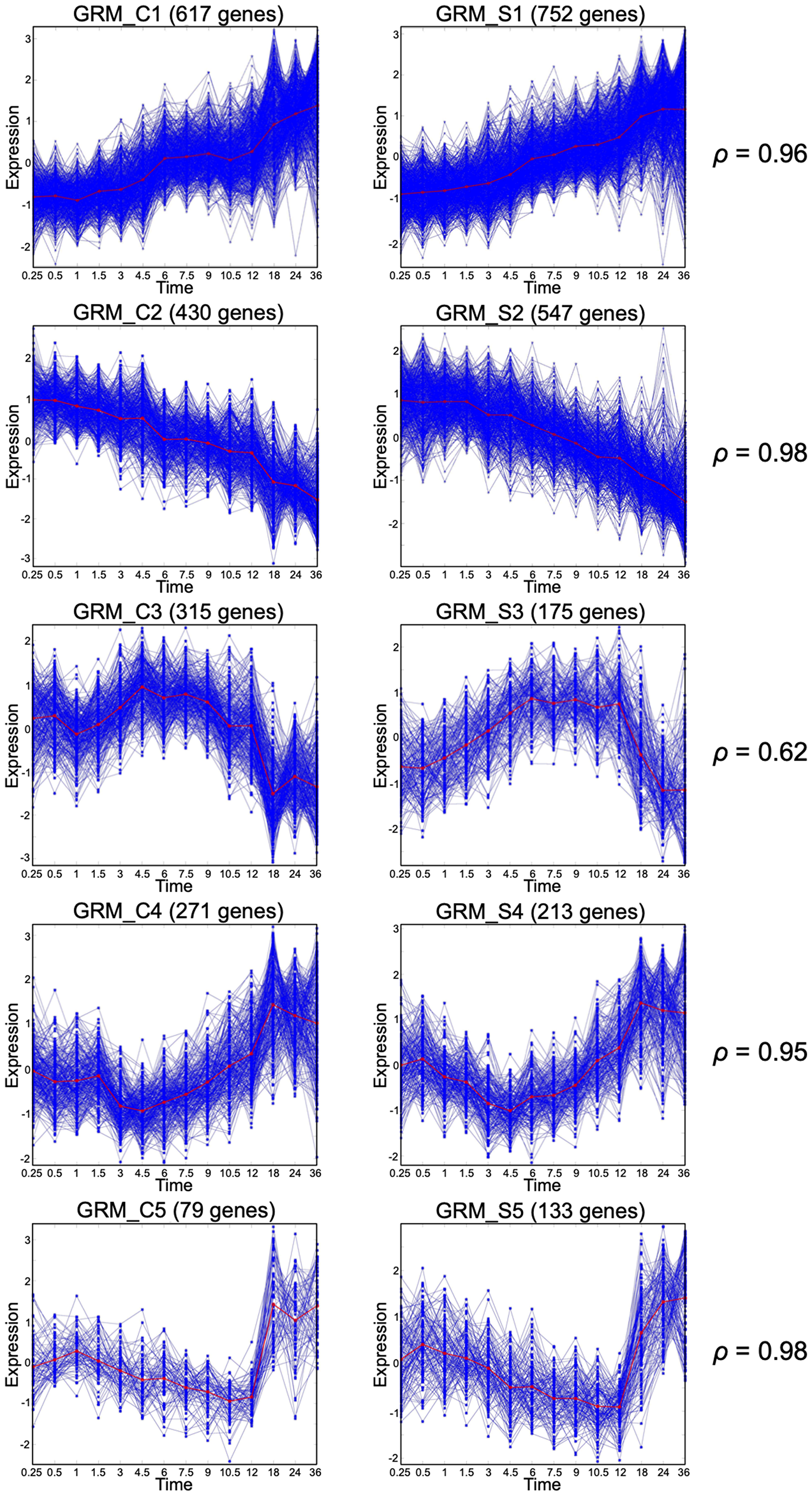 Gene response modules under Control and SHH+ conditions
