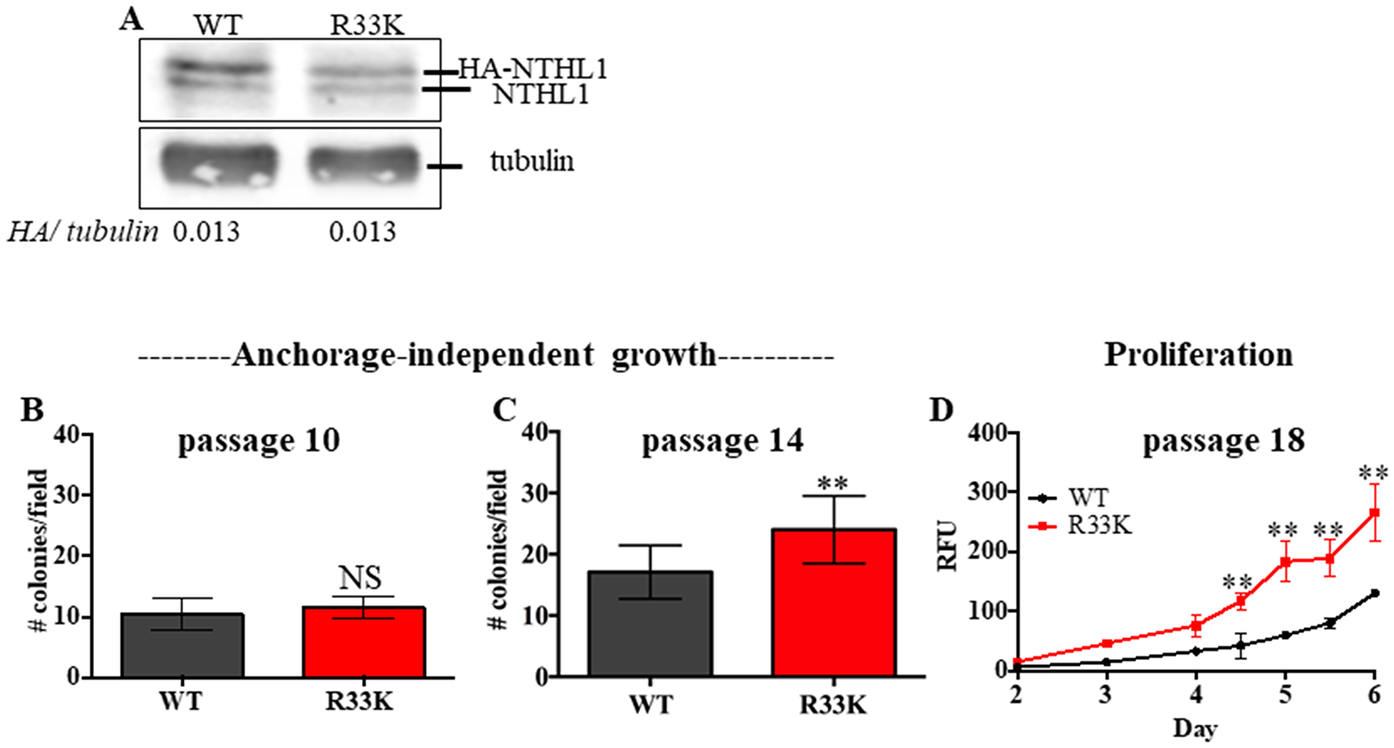 Expression of R33K-NTHL1 induces cellular transformation