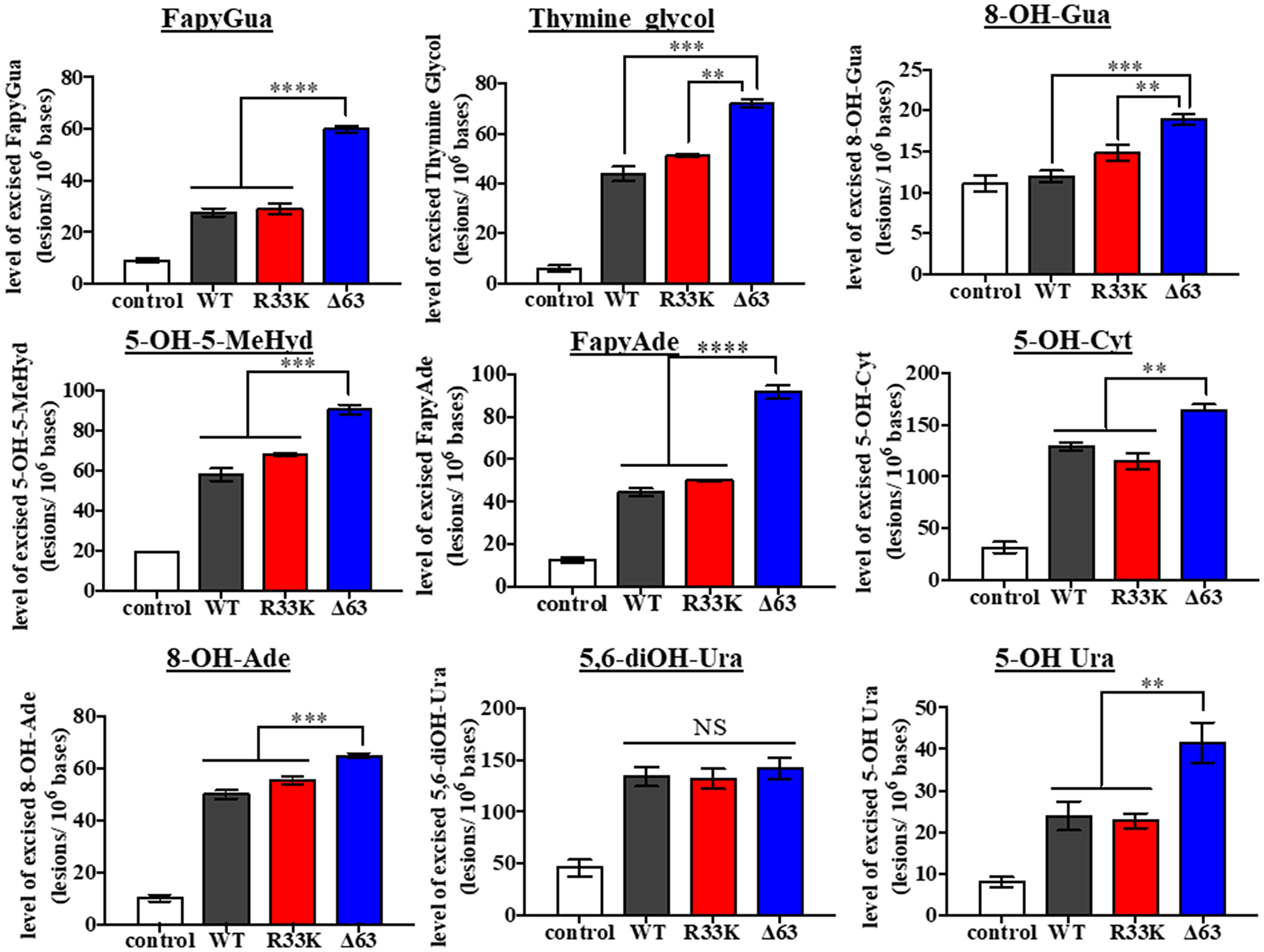 Wt- and R33K-NTHL1 exhibit similar substrate specificity