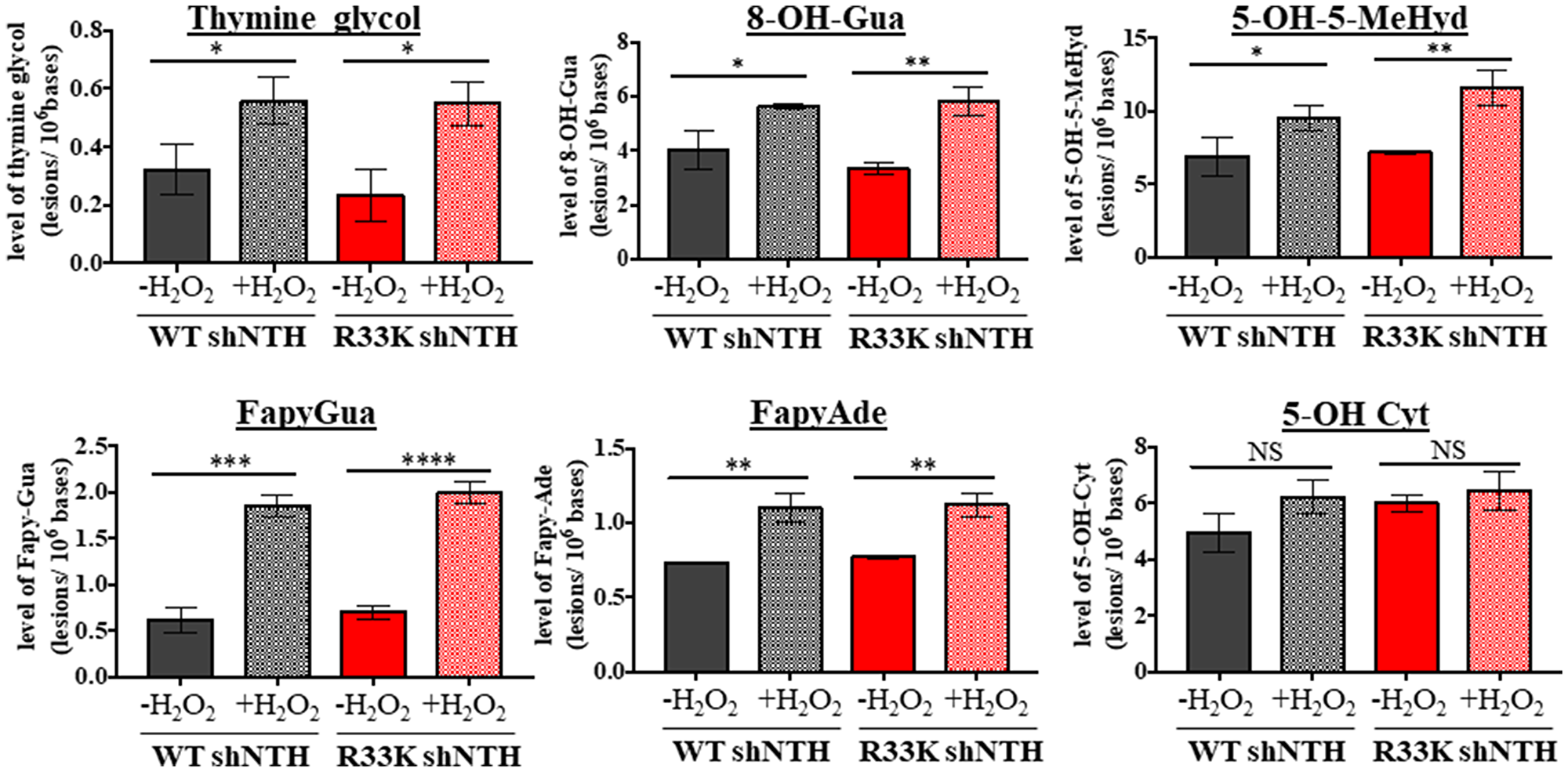 Wt- and R33K-NTHL1 exhibit similar substrate specificity and repair kinetics in vivo