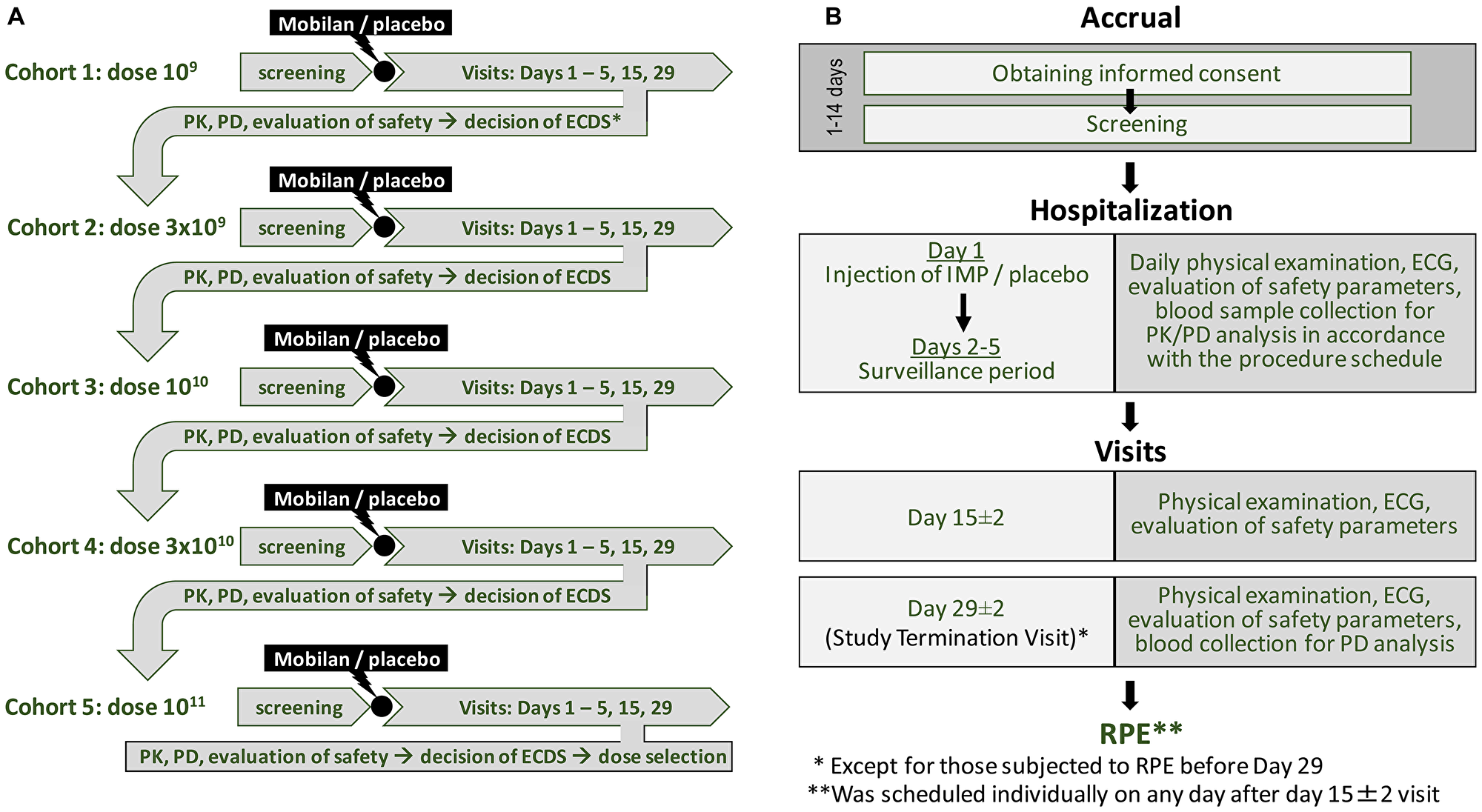 Study design for the first-in-human Phase I clinical trial of Mobilan (A) and schedule of study stages (B). See text for details.