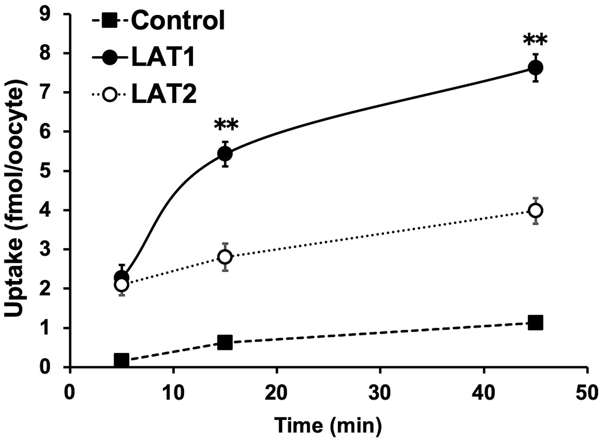 Analysis of para-211At-phenylalanine (PA) transport by L-type amino acid transporter-1 (LAT1) and LAT2