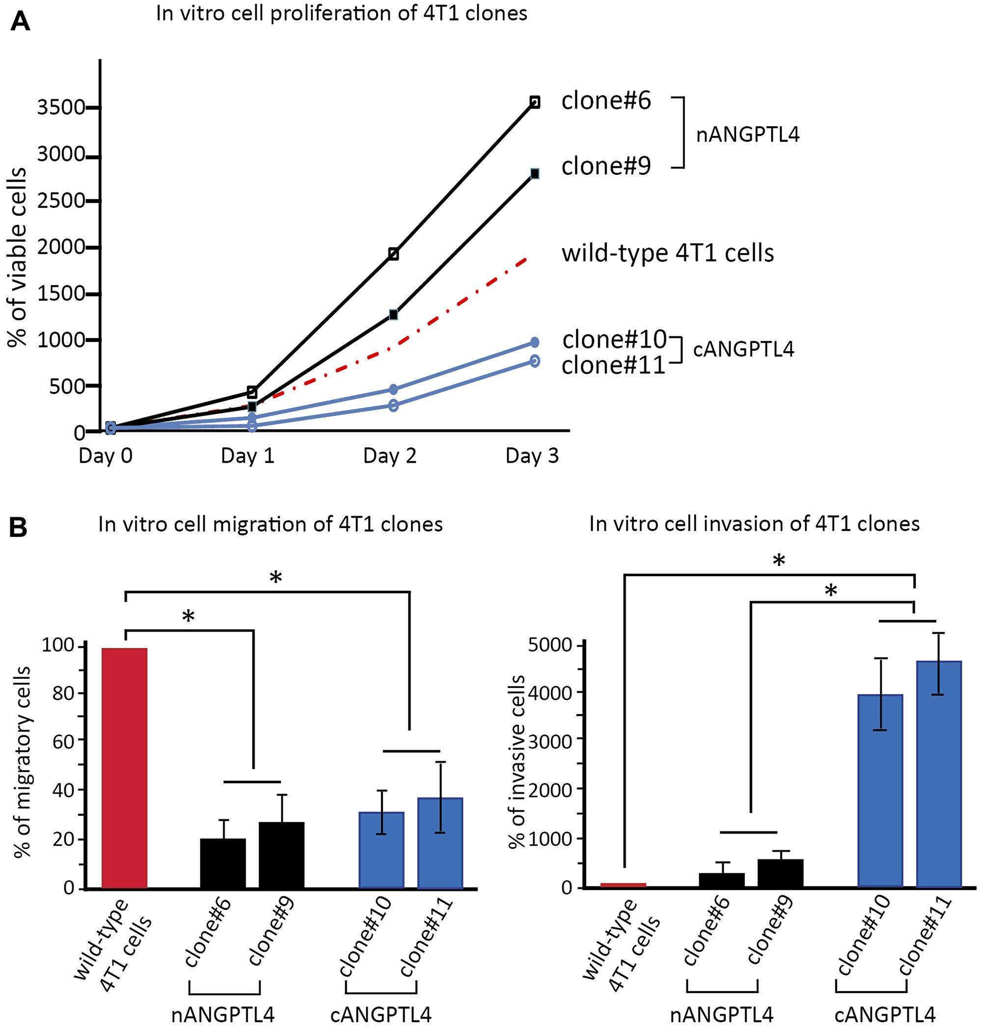 in vitro biological effects of c- and nANGPTL4 fragments on 4T1 murine breast cancer cells