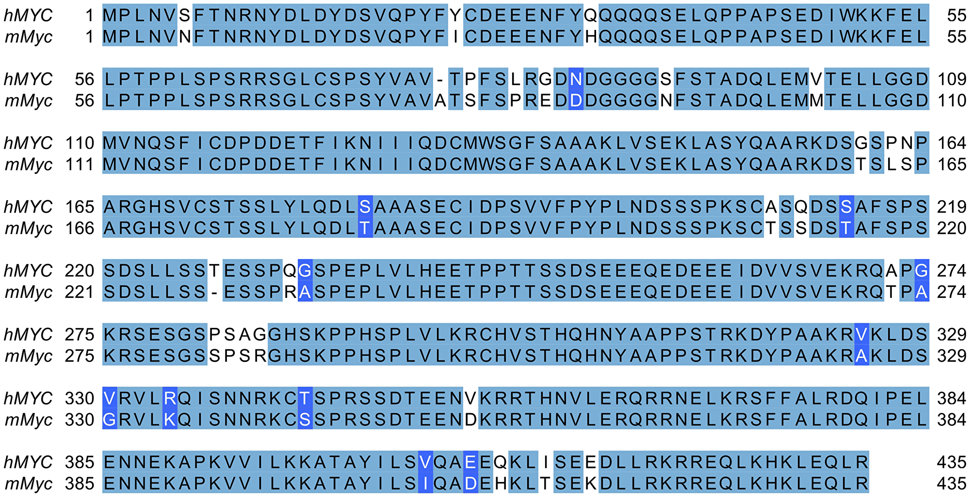 Alignment of human and murine MYC proteins