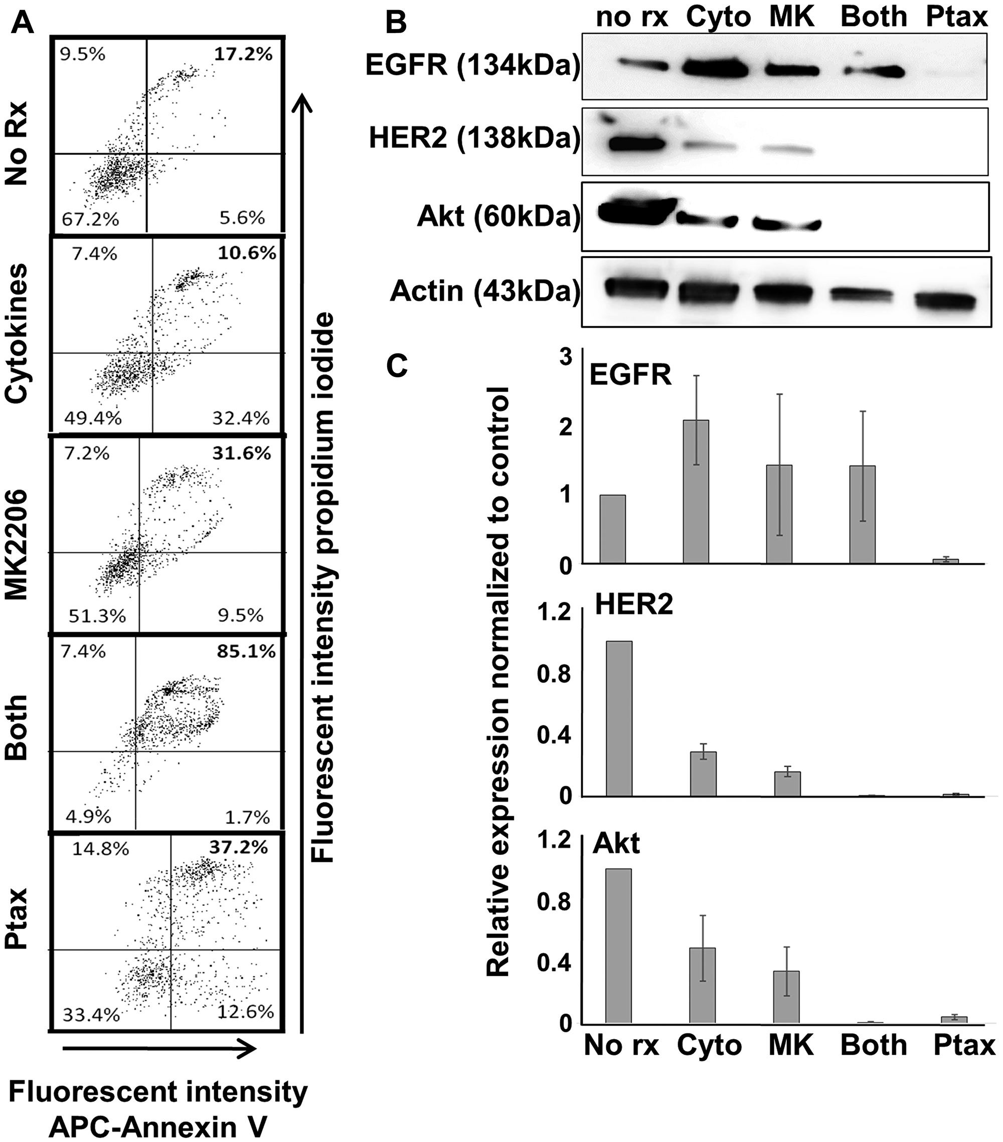 Th1 cytokines, MK-2206, and paclitaxel induce apoptosis in human breast cancer cells but differentially affect expression of oncodrivers