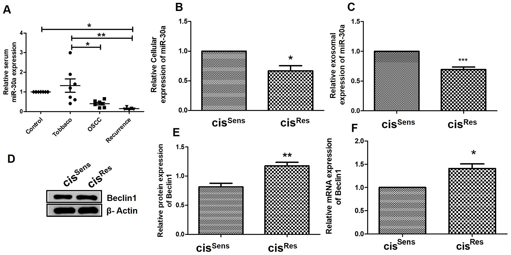 (A) miR-30a expression in clinical samples was quantified by qRT-PCR and normalized to U6 as a housekeeping gene. miR-30a expression profiling in cisRes and cisSens oral cancer cells at the (B) total cellular and (C) exosomal level. (D) Western blot analysis for Beclin1 expression in cisRes and cisSens oral cancer cells. (E) Densitometry of Beclin 1 Western blot normalized to actin as the loading control. (F) Beclin 1 mRNA expression as analyzed by qRT-PCR. 18S was used as a housekeeping gene.