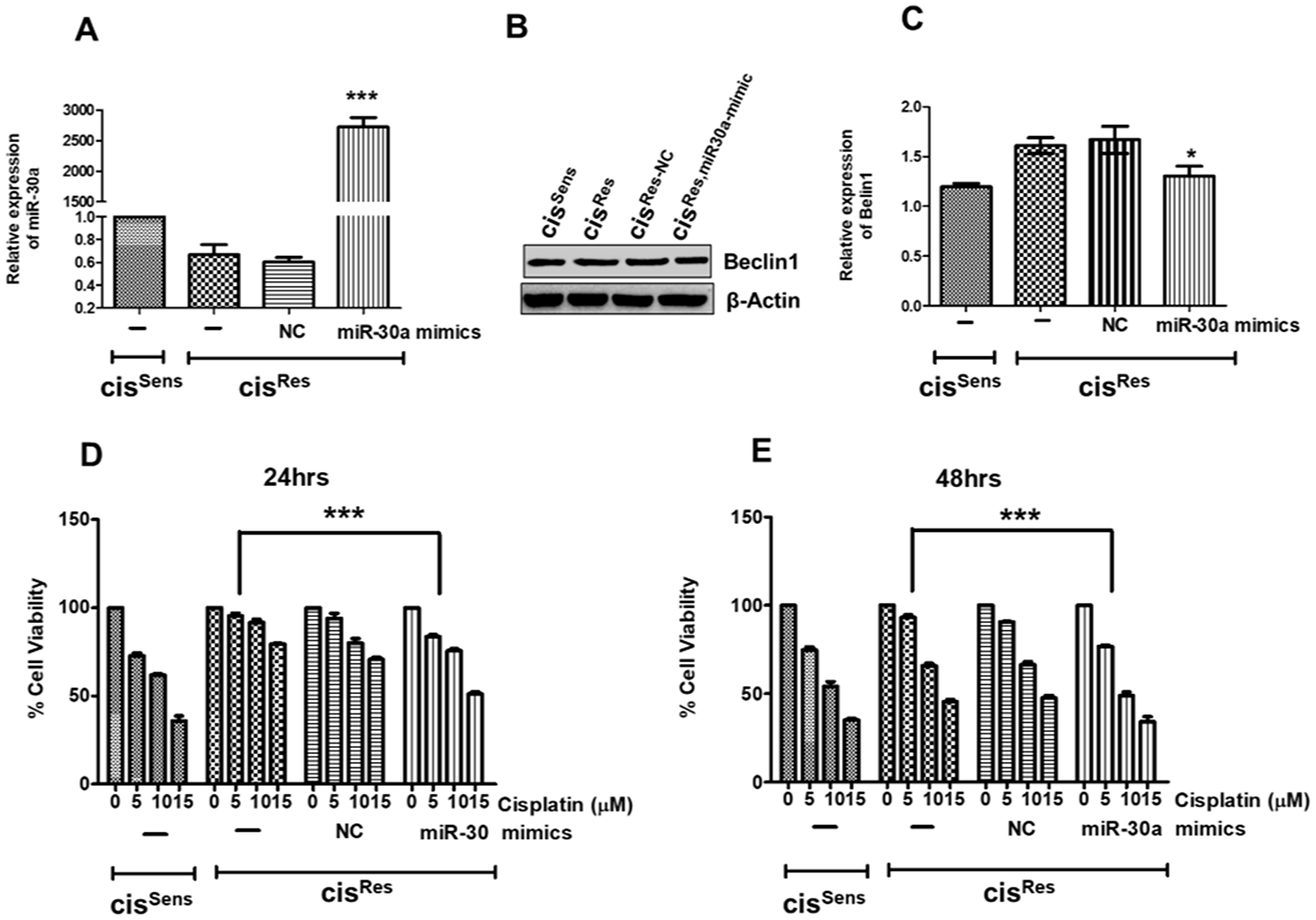 cisRes oral cancer cells were transfected with either miR-30a mimics or NC (negative control) and after 24 h, the following effects were analyzed