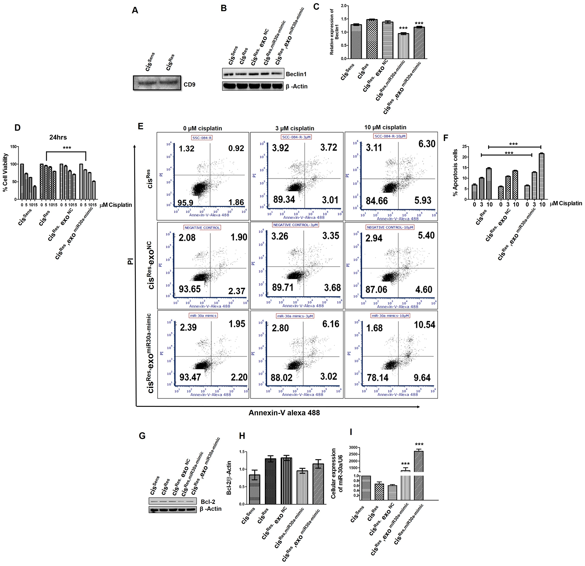 Exosomes were isolated from cisRes cells transfected with either NC or miR-30a mimics and were used to treat other naïve cisRes cells