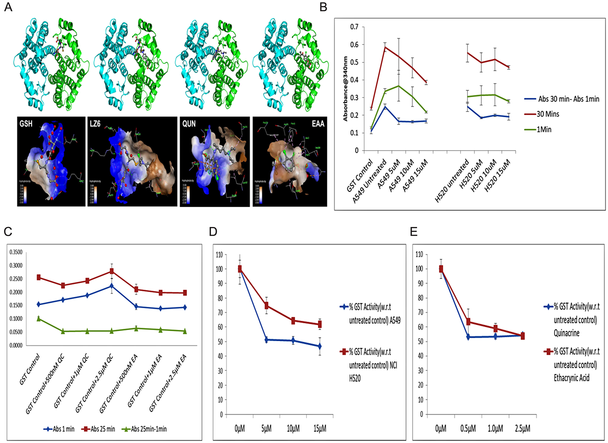 (A) Structural representation of binding of (left to right) GSH, LZ6 (Chlorambucil), Quinacrine (QUN) and Ethacrynic acid (EAA) with GSTA1 [Blue ribbon representing A chain, green ribbon representing B chain of GSTA1 and ball and stick representing ligands].Bottom figure displays the ligands in the binding pocket with hydrophobicity and key interacting residues as generated by Discovery studio visualizer (B) Graph representing GST assay absorbance values of A549 and NCI H520 QC treated cell lysates (1 min, 30 min and 30-1 min). (C) Graph representing GST assay absorbance values of GST Control protein treated/incubated with different concentrations Of QC and EAA (1 min, 25 min and 25-1 min). (D) Graph representing the calculated percentage GST activity of cell lysates of A549 and NCI H520 with respect to their untreated controls. (E) Graph representing the calculated percentage GST activity of quinacrine and ethacrynic acid treated GST control protein with respect to the untreated sample.