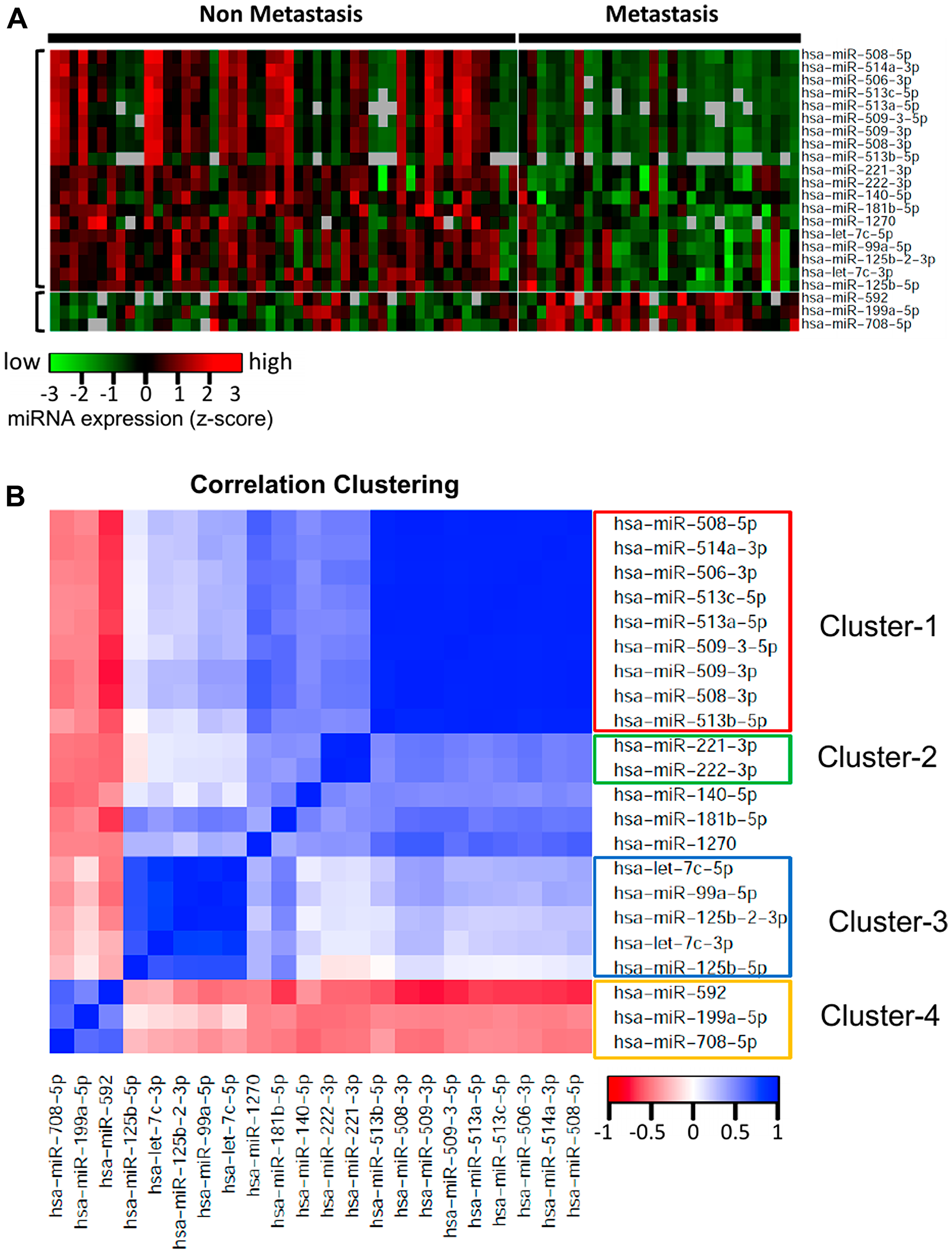 Heatmap and correlation clustering of the miRNAs significantly differentially expressed with respect to ever-development of metastatic UM