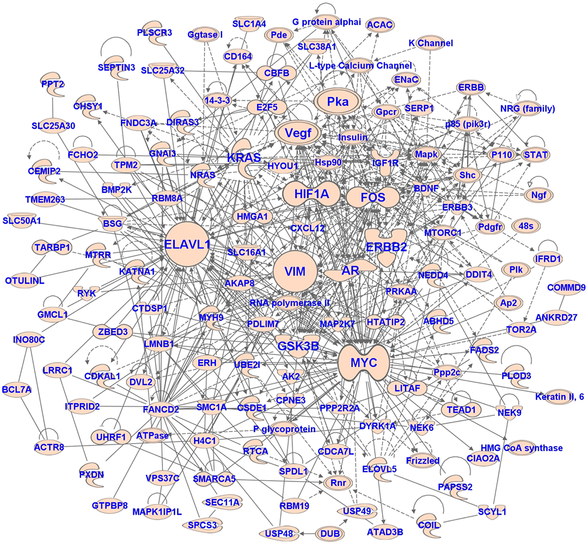 The network of target genes of miRNAs associated with metastasis in UM
