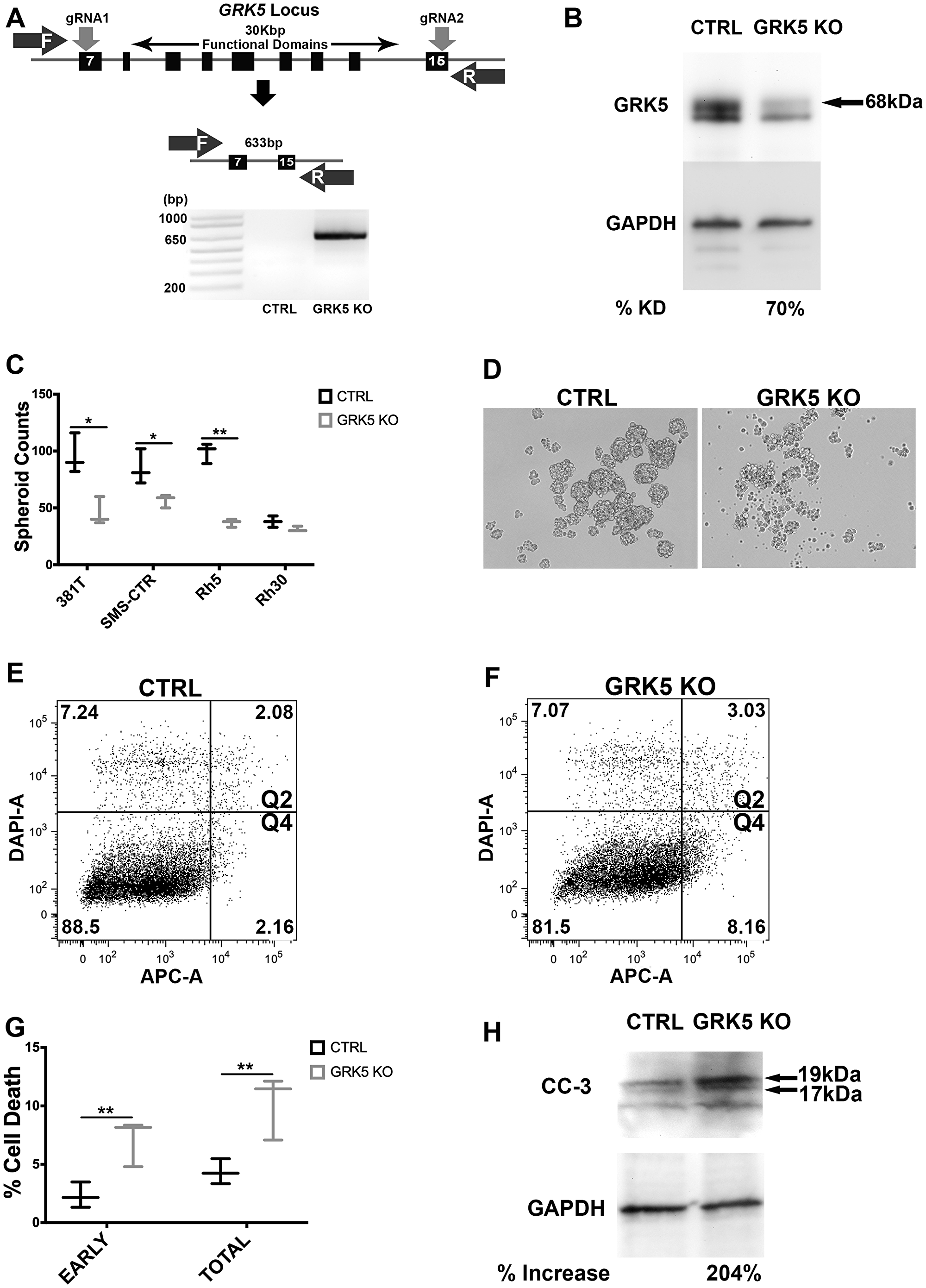 GRK5 regulates self-renewal of both ERMS and ARMS