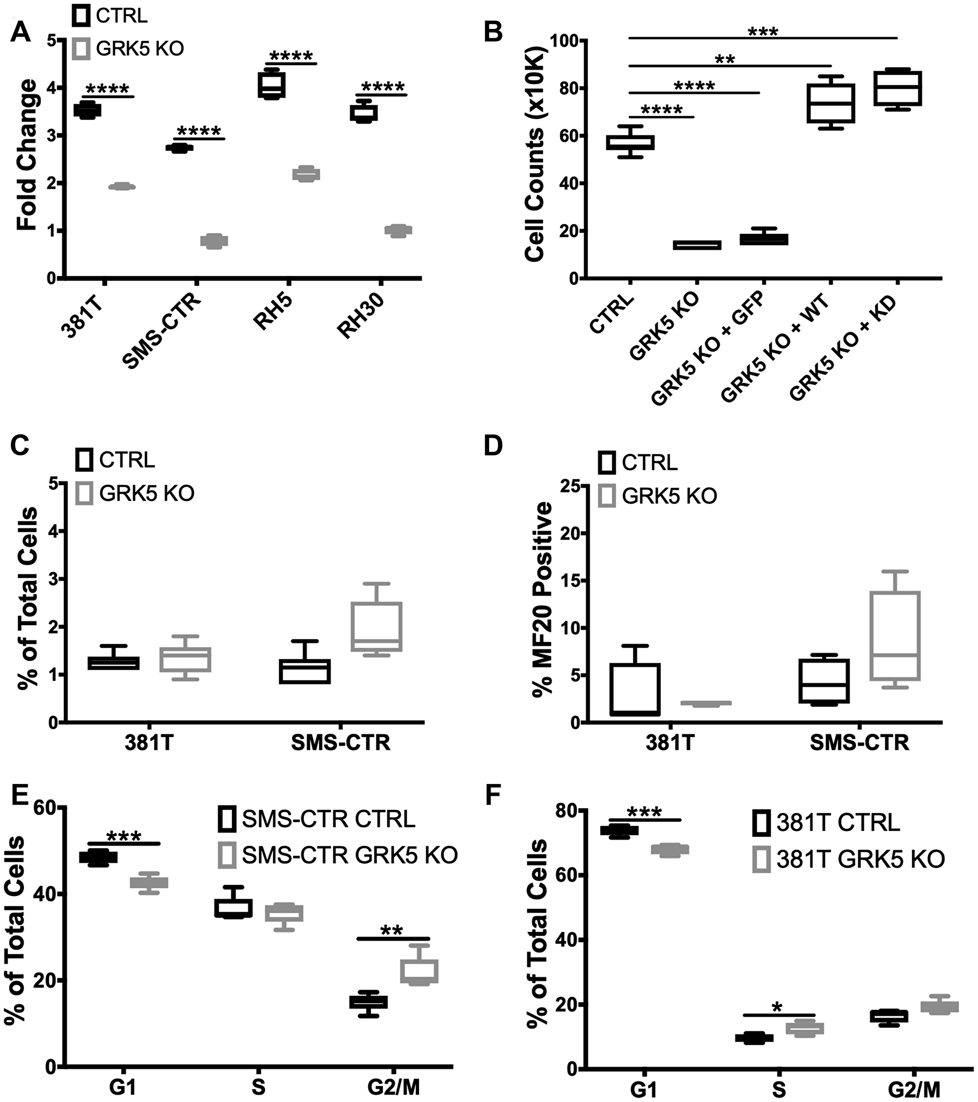 GRK5 regulates ERMS cell growth in a kinase-independent manner and is involved in regulating cell cycle progression