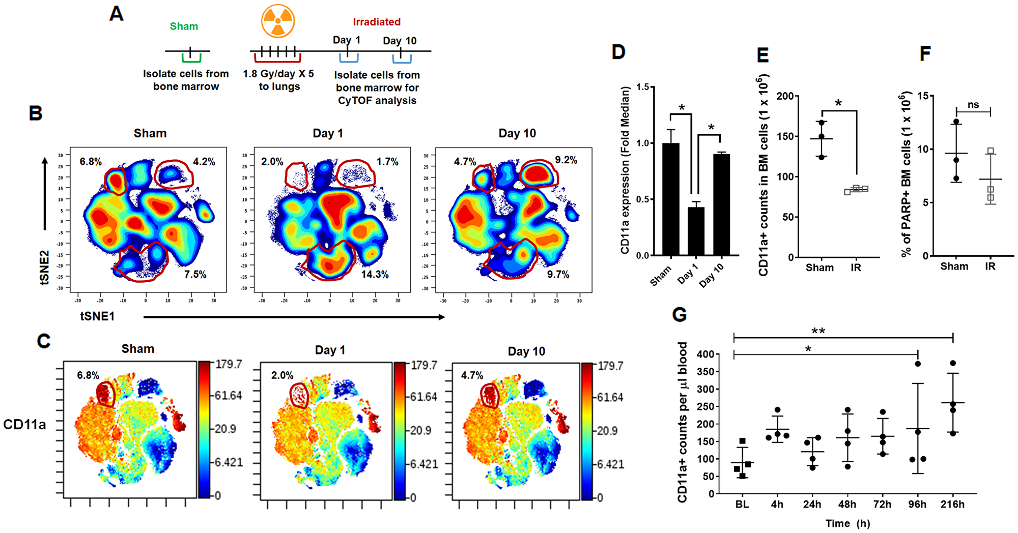 CyTOF analysis of bone marrow cells following irradiation