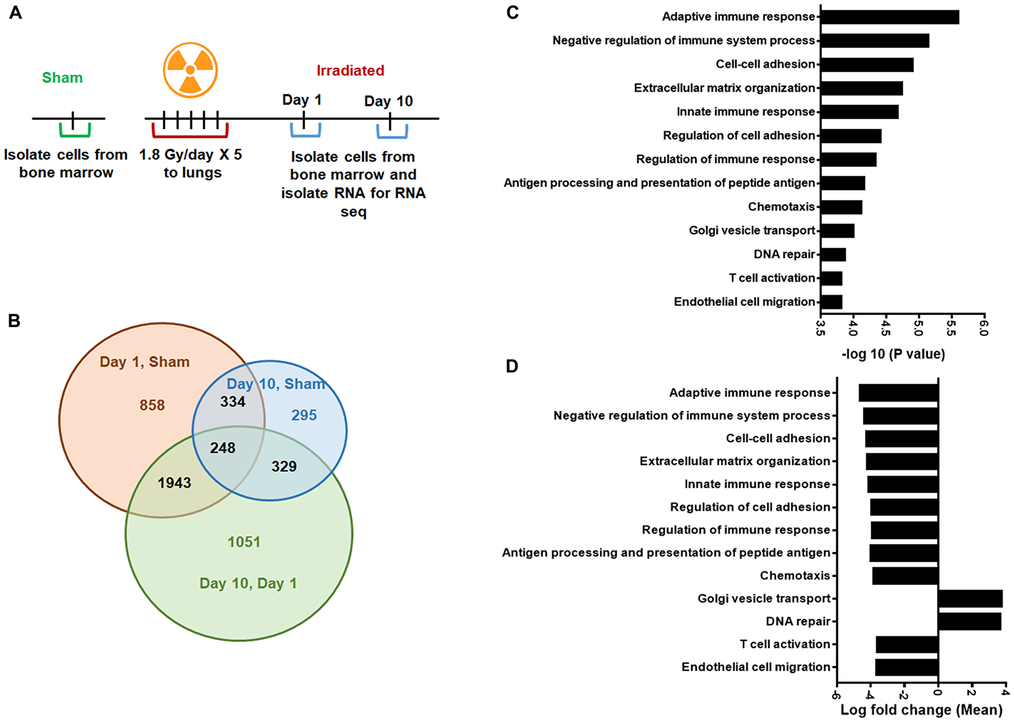 Gene Ontology (GO) analysis to identify differentially regulated genes