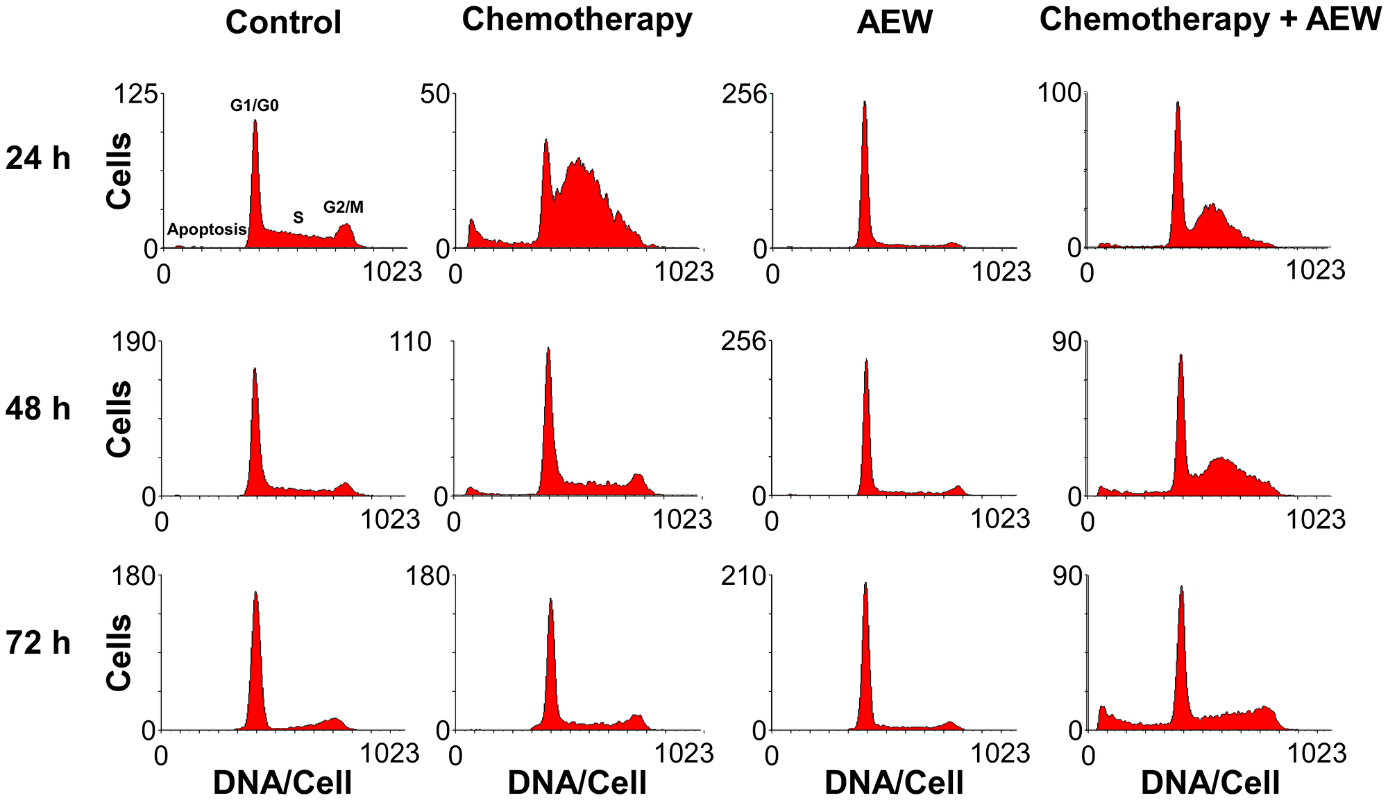 Effect of combined treatment on MCF7 cell cycle