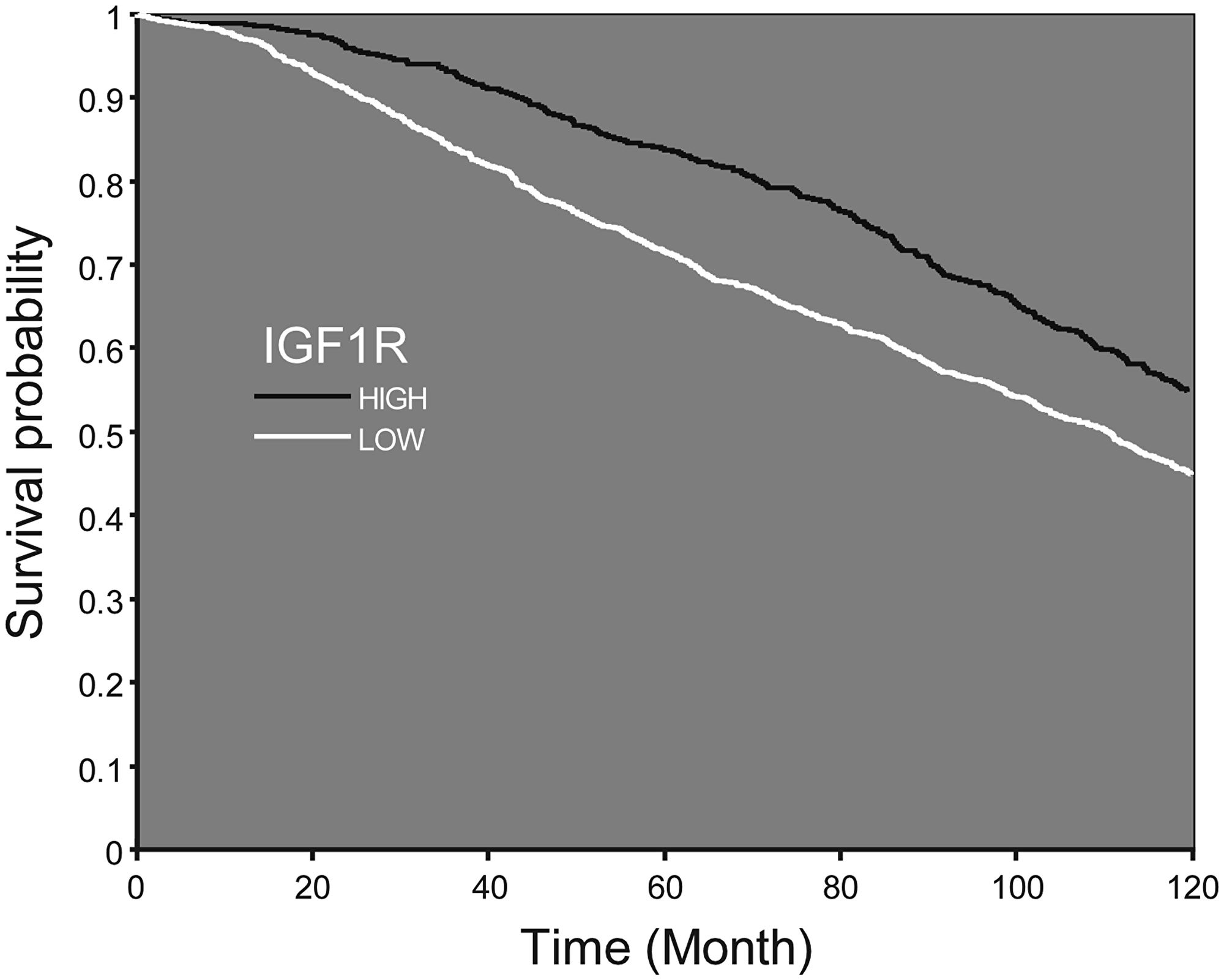 Survival probability according to IGF1R mRNA expression
