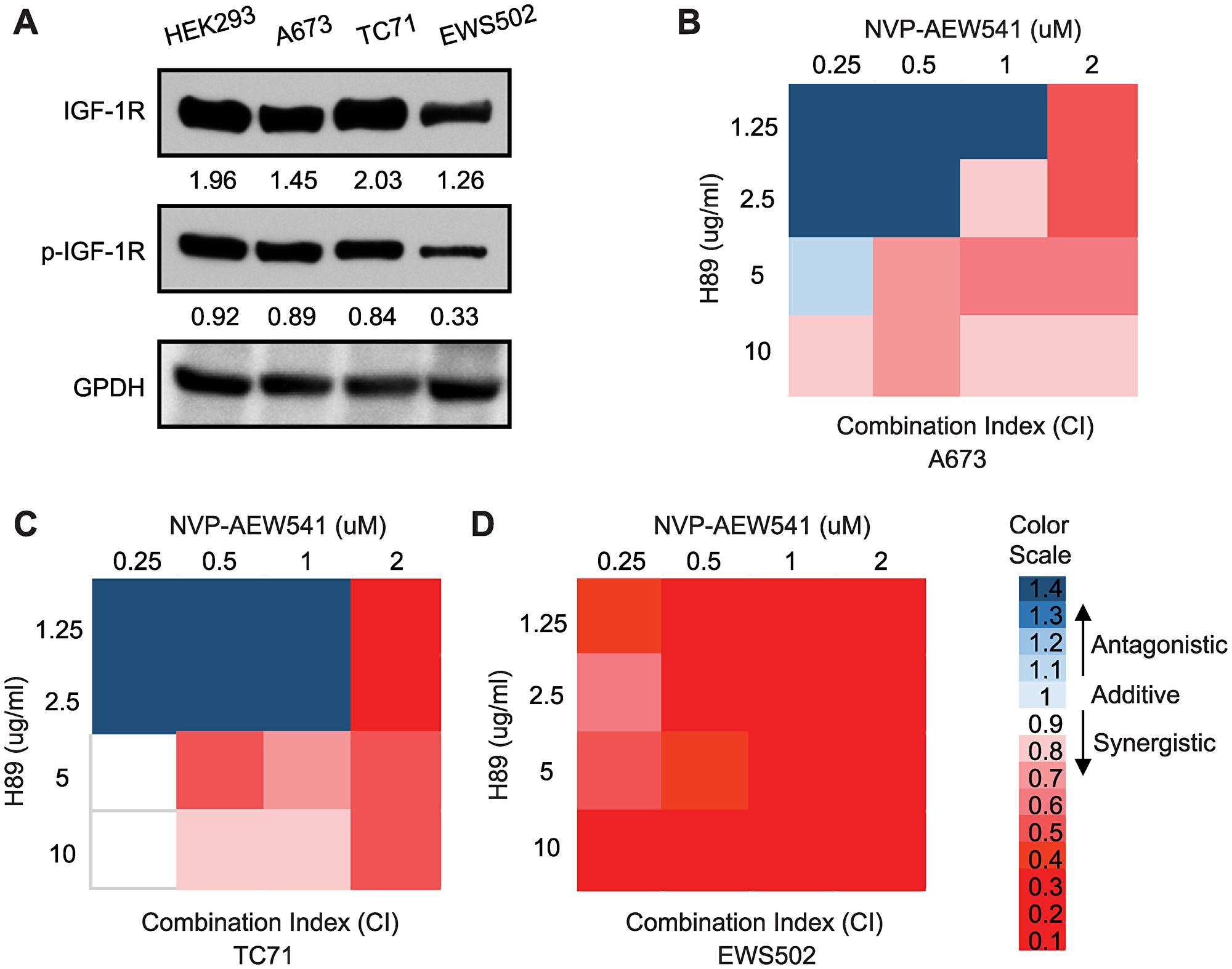 Inhibition of PPP1R1A and IGF-1R pathways synergizes in decreasing ES cell viability