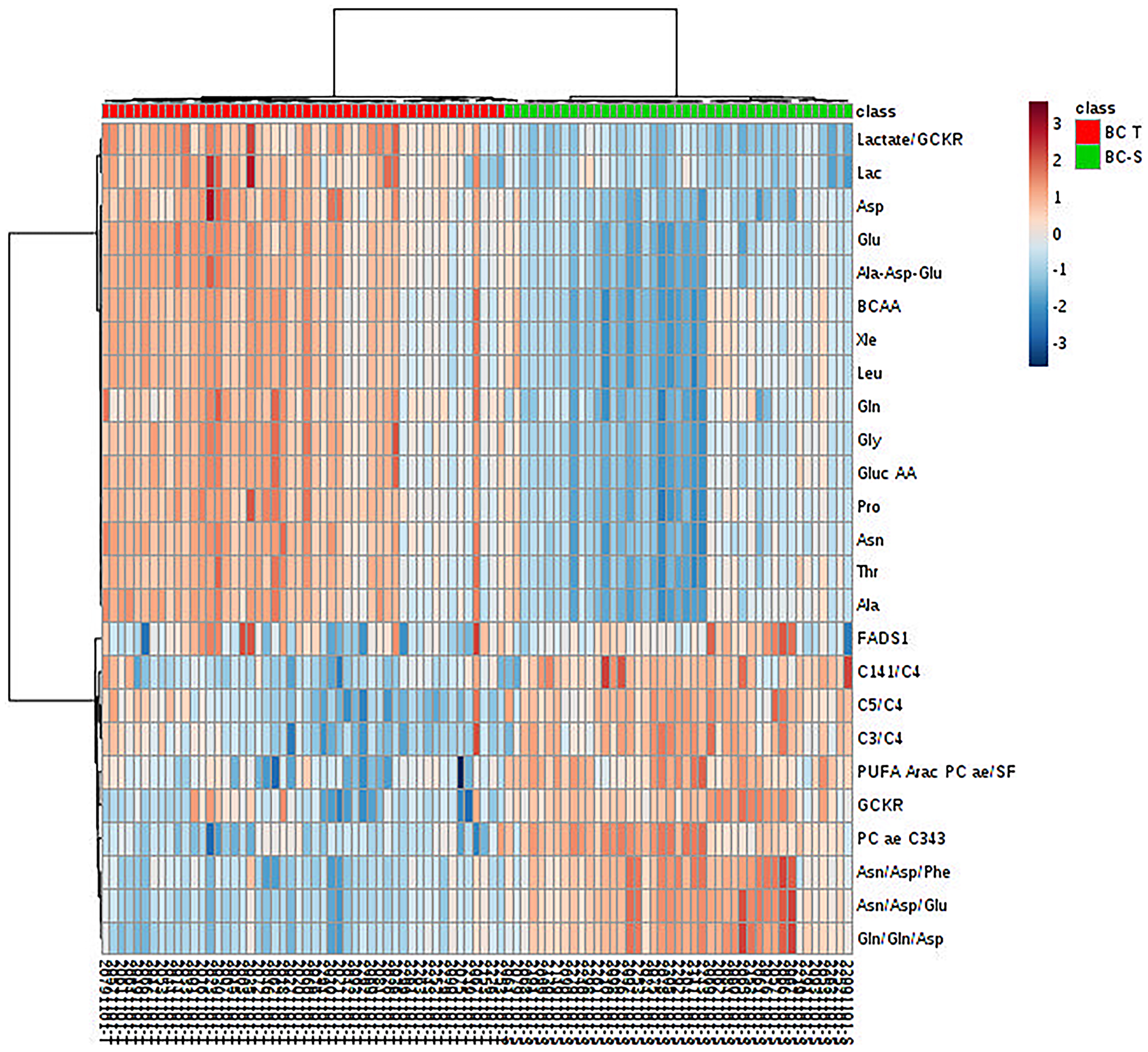 Metabolite hierarchical clustering in IDC and non-tumor adjacent breast tissues. BC-T: IDC; BC-S: non-tumor adjacent breast tissue