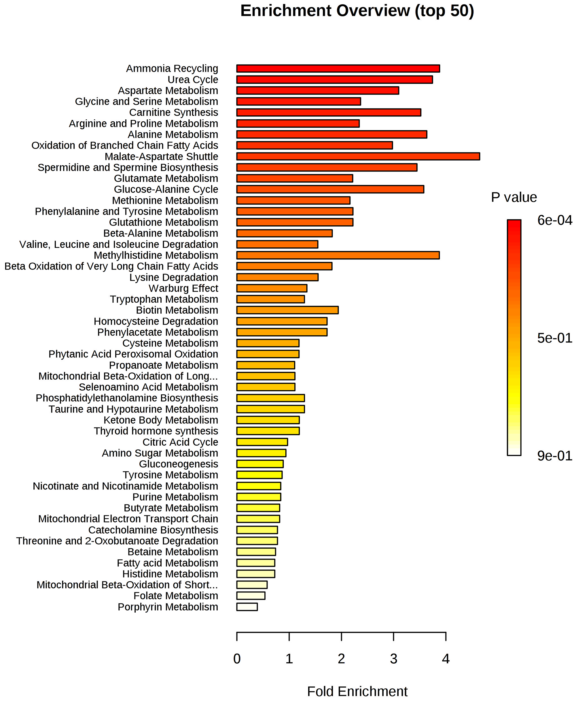 Metabolite set enrichment analysis (MSEA) of IDC