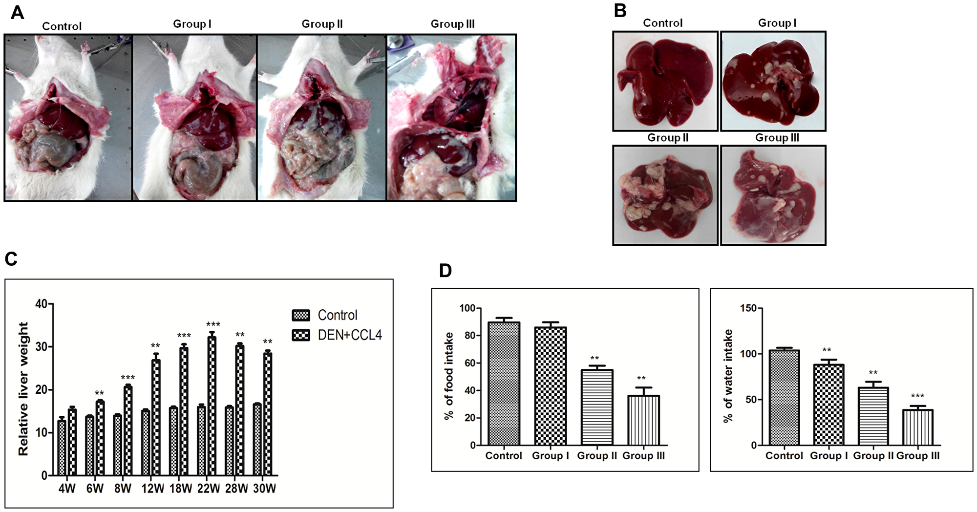 DEN+CCl4 induced hepatocarcinogenesis was associated with visceral adiposity