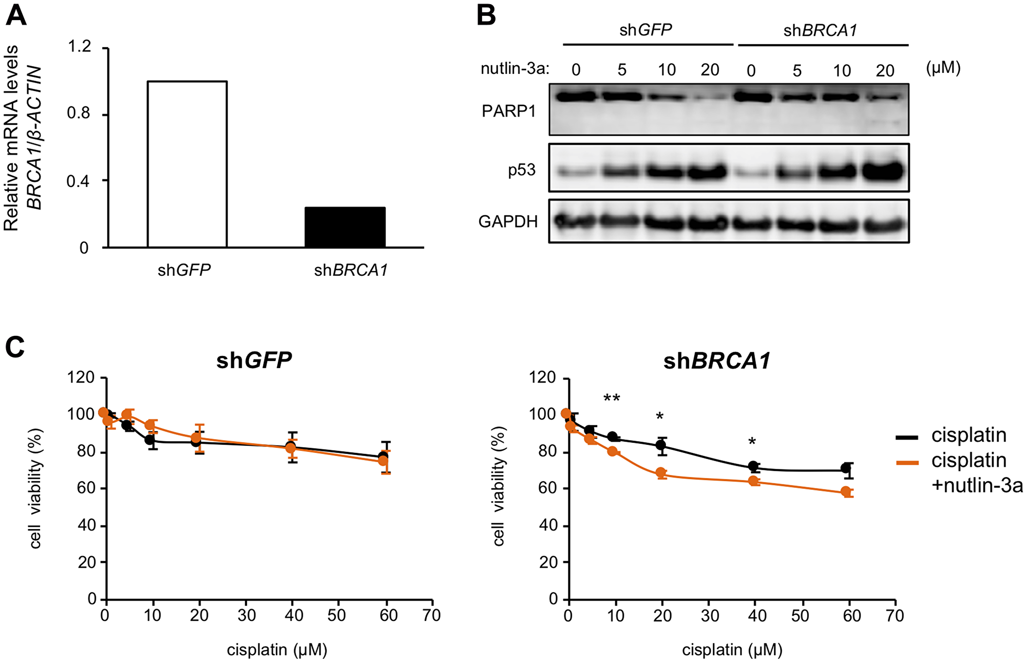 Nutlin-3a enhances the effect of cisplatin in BRCA1 knockdown MCF-7 cells