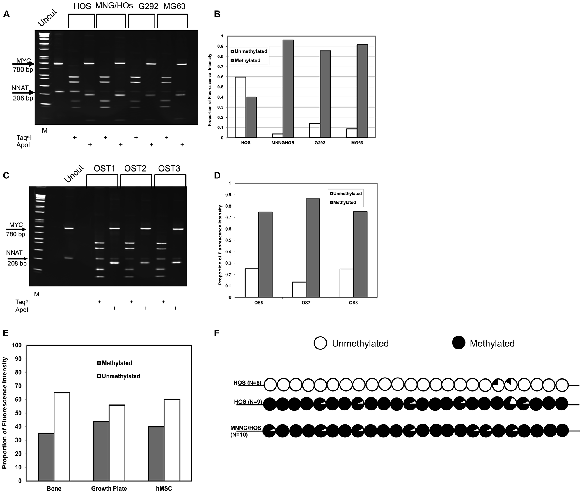 COBRA analysis demonstrates NNAT hypermethylation in osteosarcoma cell lines and primary tumor samples but not in normal bone or bone progenitors