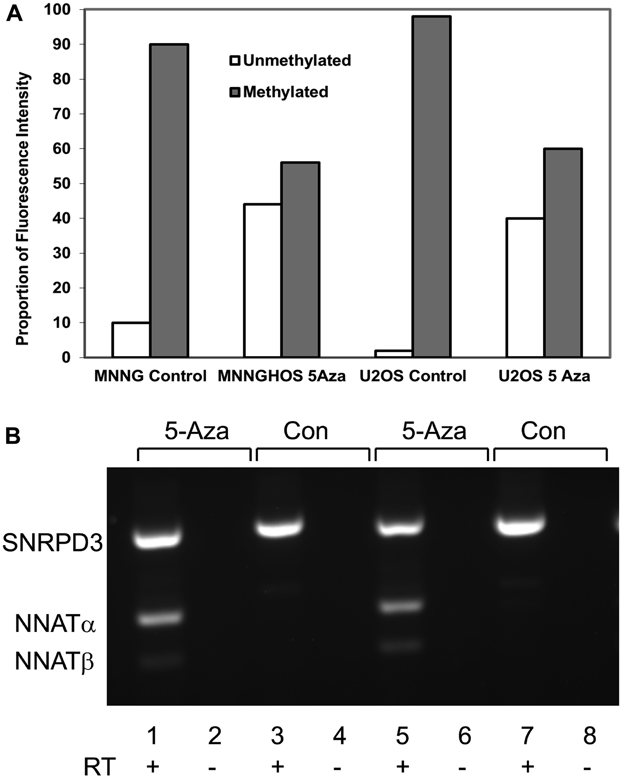 Neuronatin mRNA expression is derepressed with demethylation of the NNAT CpG island by 5-aza-2’-deoxycytidine