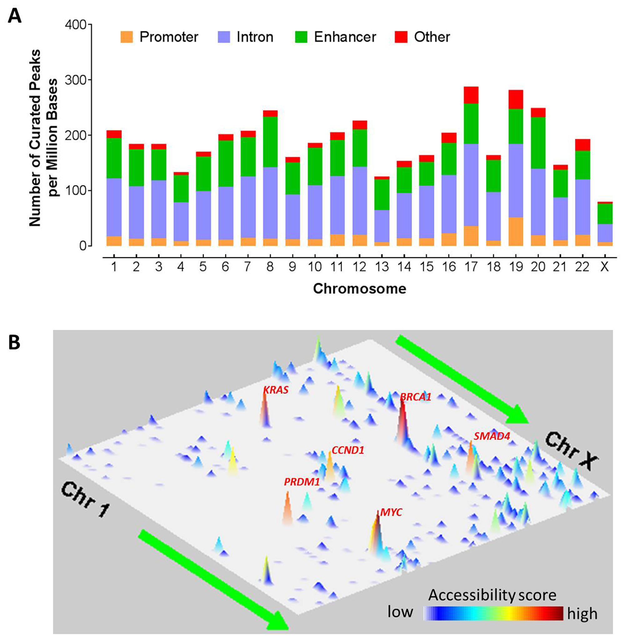 <em><strong>Figure 1: Chromosomal landscape of chromatic accessibility in human cancers.</strong> (<strong>A</strong>) Distribution of all the regulatory elements such as promoter, enhancer, intron, and other elements across chromosomes. Here the other elements denote elements located at the exonic region, or 3&prime; UTR, or 5&prime; UTR. Color indicates the type of genomic region overlapped by the peak. UTR, untranslated region. (<strong>B</strong>) Genome landscapes of chromatin accessibility. The chromatin accessibility scores indicate the likelihood of chromatin openness and are plotted in two-dimensional space representing chromosomal positions of human genome assembly (GRCh38). One dimension consists of the 23 chromosomes from Chr1 to ChrX and the other dimension indicates the genomic coordinates on a chromosome from p arm to q arm. Correlation of the colors and accessibility scores is indicated by the accompanied colorbar.</em></p> <p>Recently, the Cancer Genome Atlas performed ATAC-seq on 410 tumor samples derived from 404 unique donors and generated a catalog of chromatin accessibility in human cancers.</p> <p>We will further integrate ATAC-seq data along with the patient clinical annotations or molecular characteristics to determine the association between chromatin accessibility in the promoter regions and patient demographics such as sex, age, tumor stage and histology, molecular subtype, and patient survival.</p> <p>The Liu Research Team concluded in their <a href=