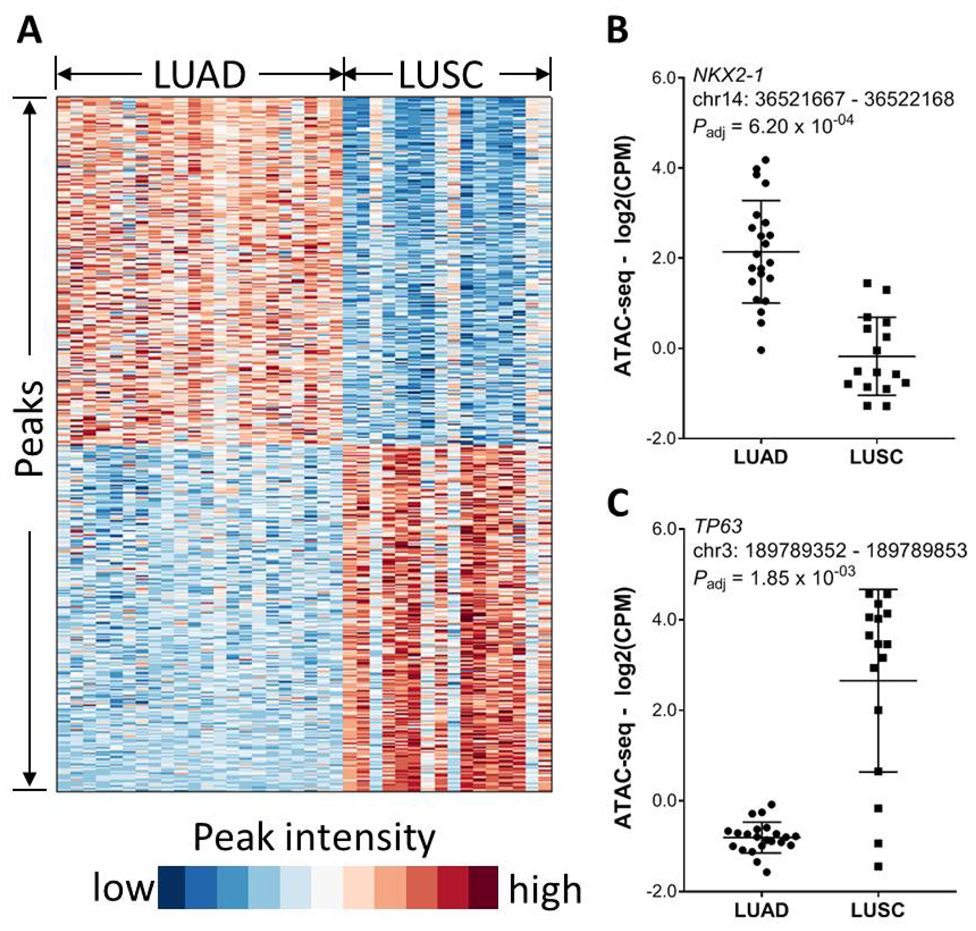 Association of chromatin accessibility with tumor histology