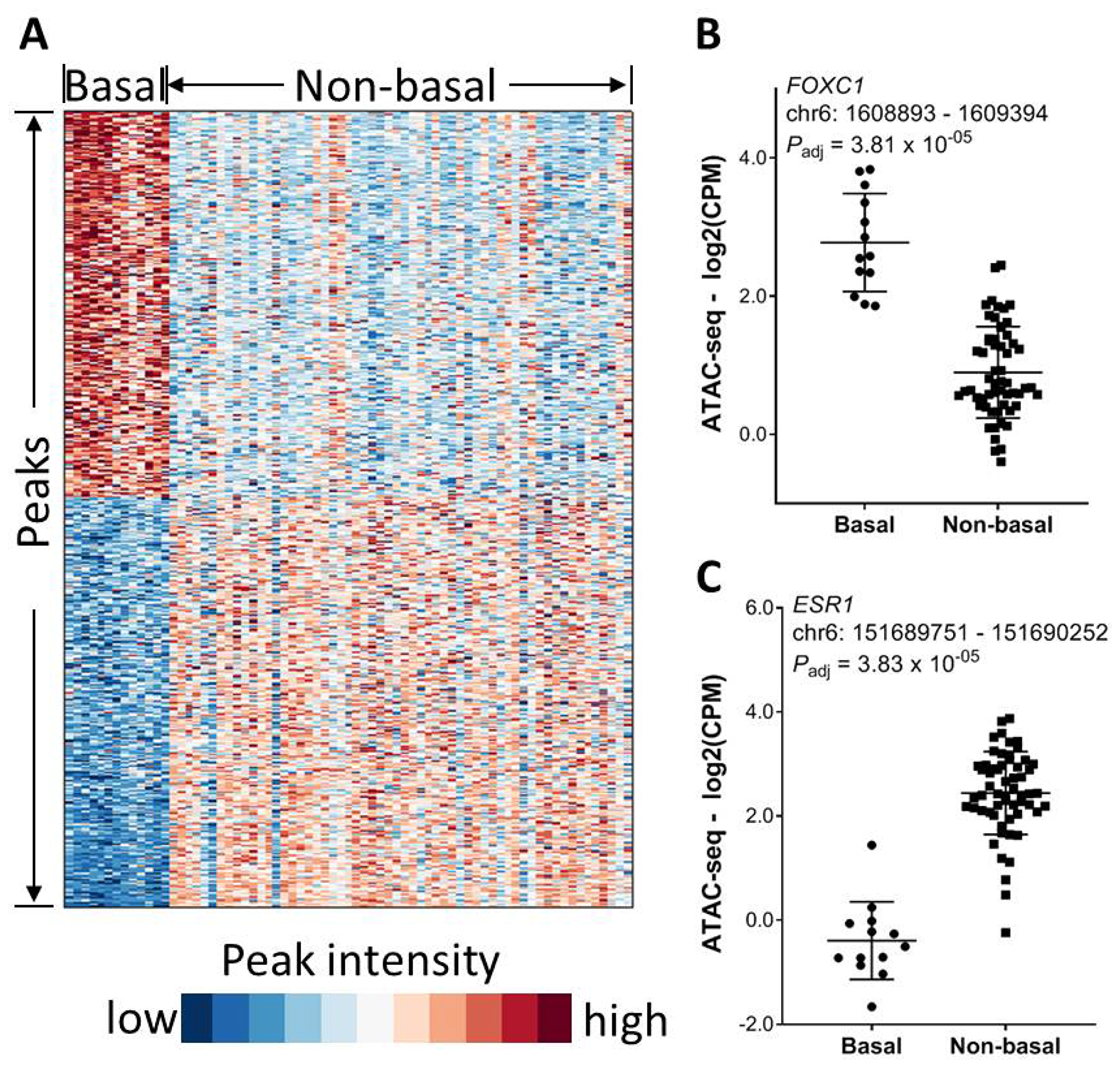 Association of chromatin accessibility with molecular subtype