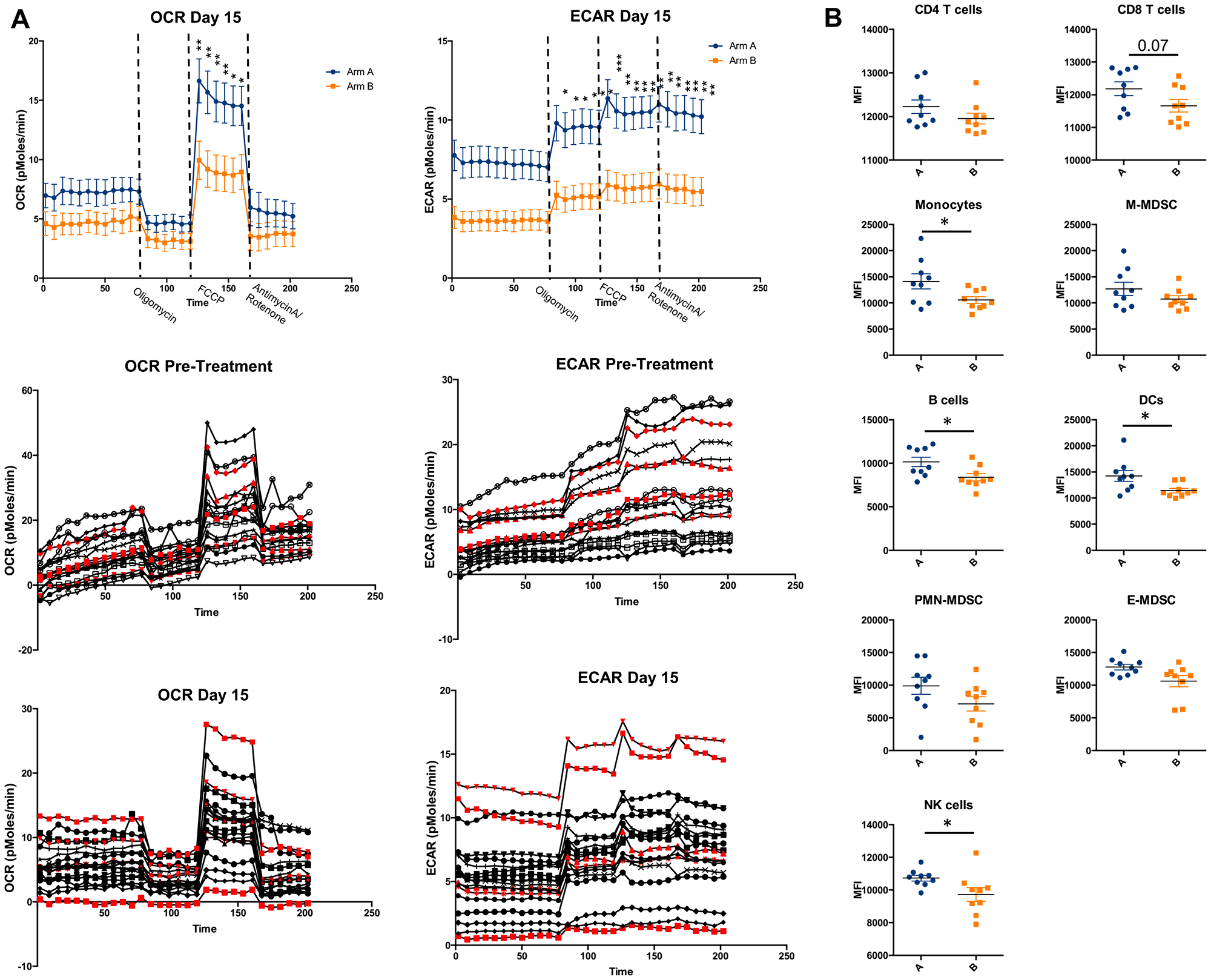 Metabolic analysis of PBMCs