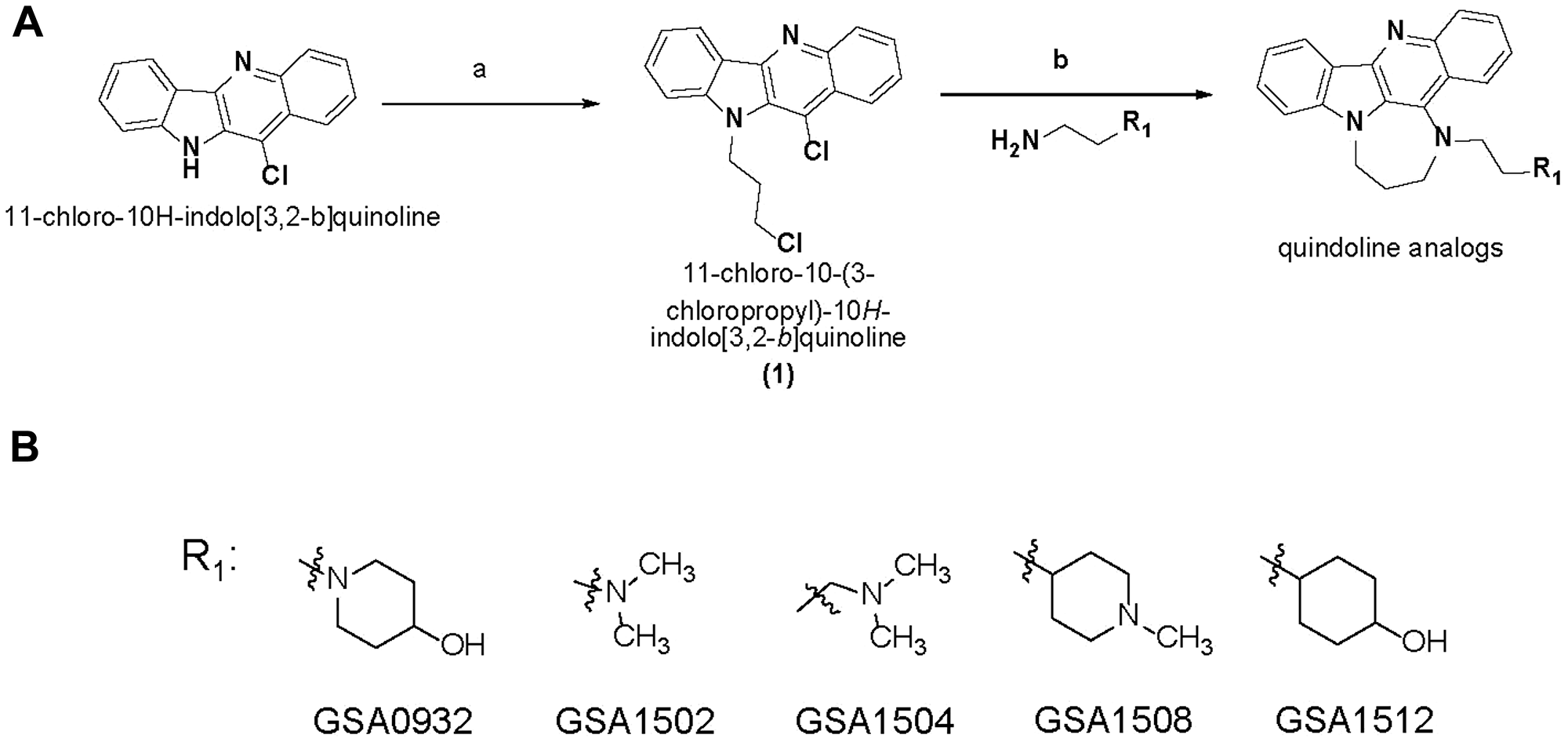 New G4-binding compound structures
