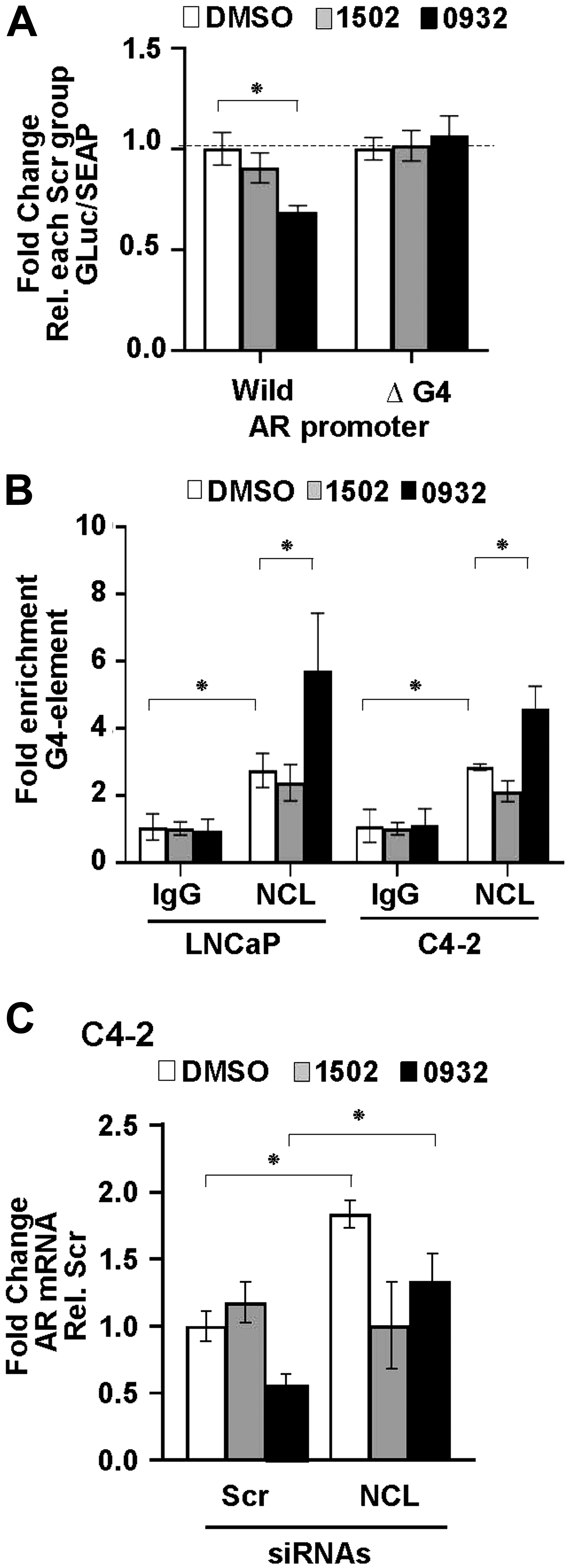 GSA0932 requires NCL binding to G4-element of AR to suppress AR