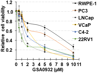 GSA0932 decreases cell viability