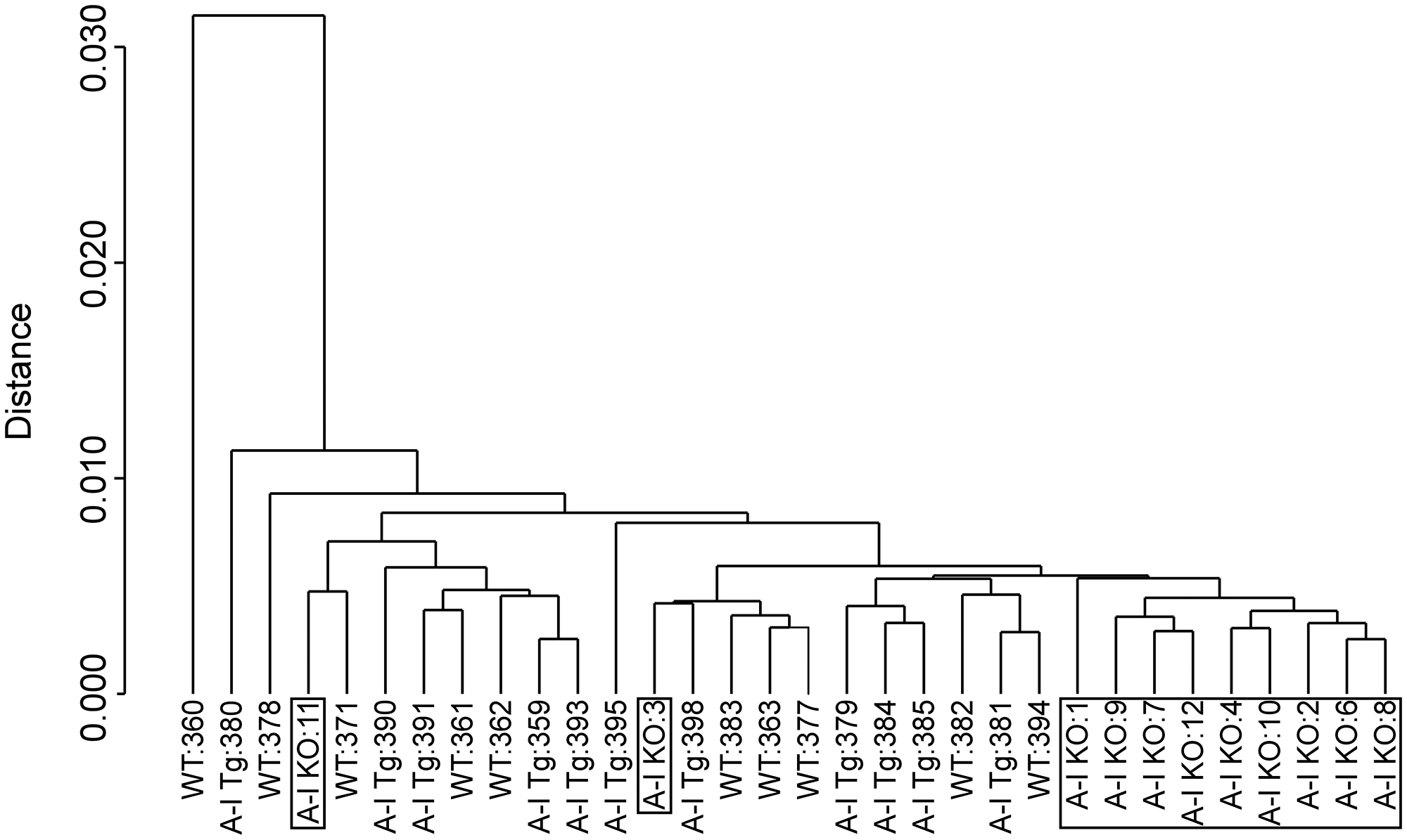 Dendogram of unsupervised hierarchical clustering analysis of tumor gene expression (log2 normalized) profiles discriminate A-I KO-derived tumors from less aggressive tumors of apoA-I-expressing mice (A-I Tg+/– and WT)