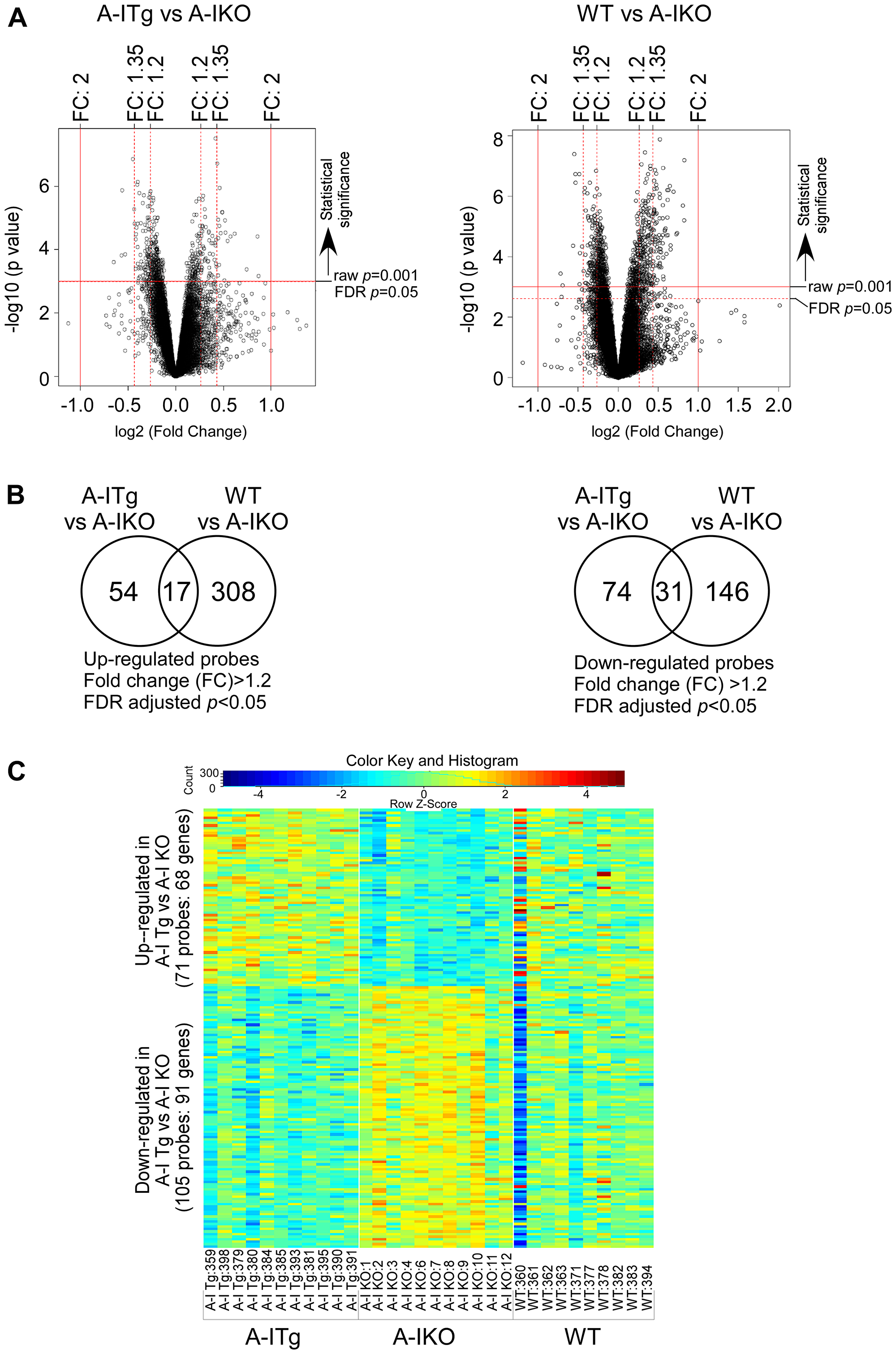 Identification of statistically significant transcripts from differential expression analyses