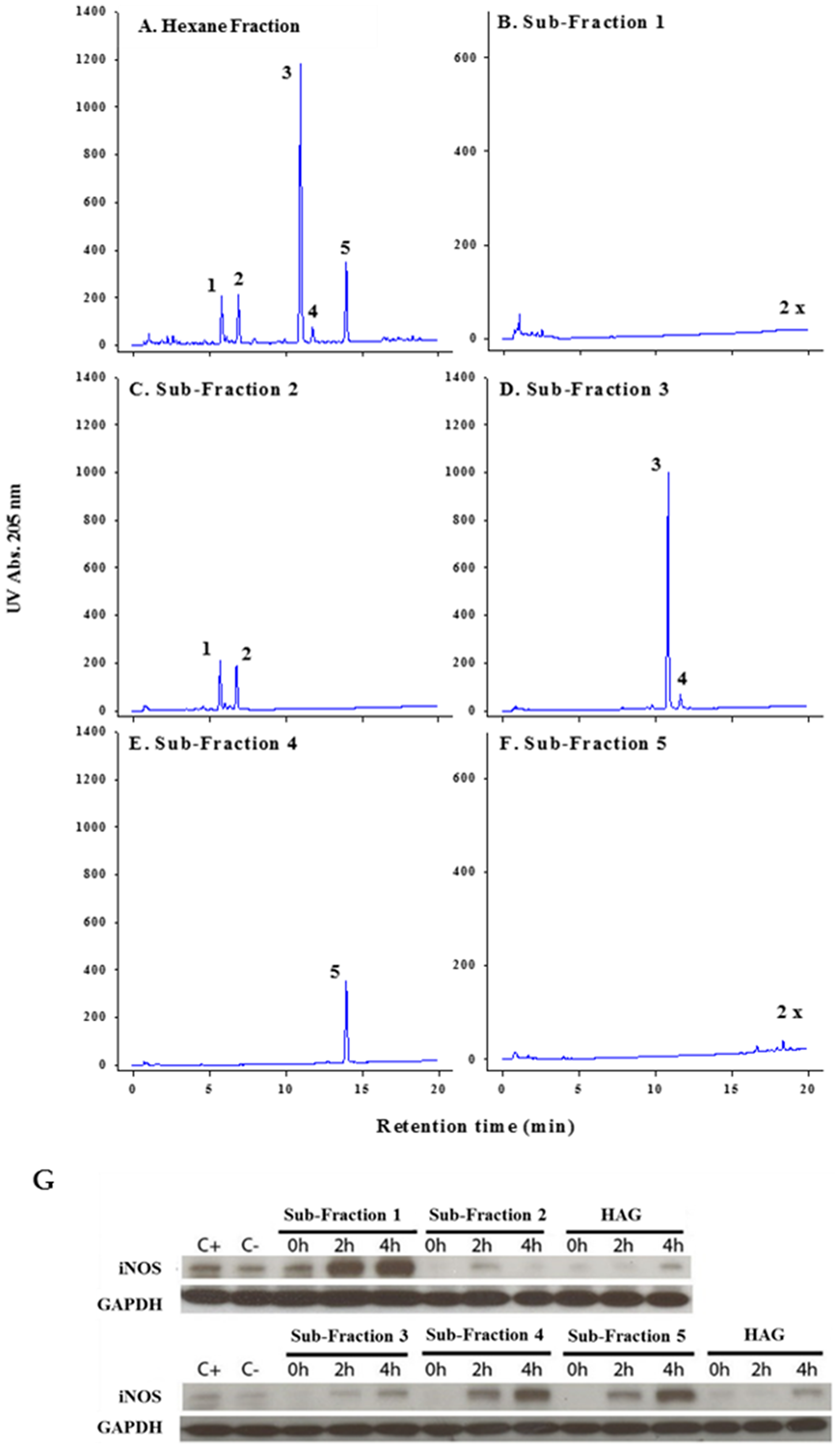 Isolation and characterization of various sub-fractions of HAG